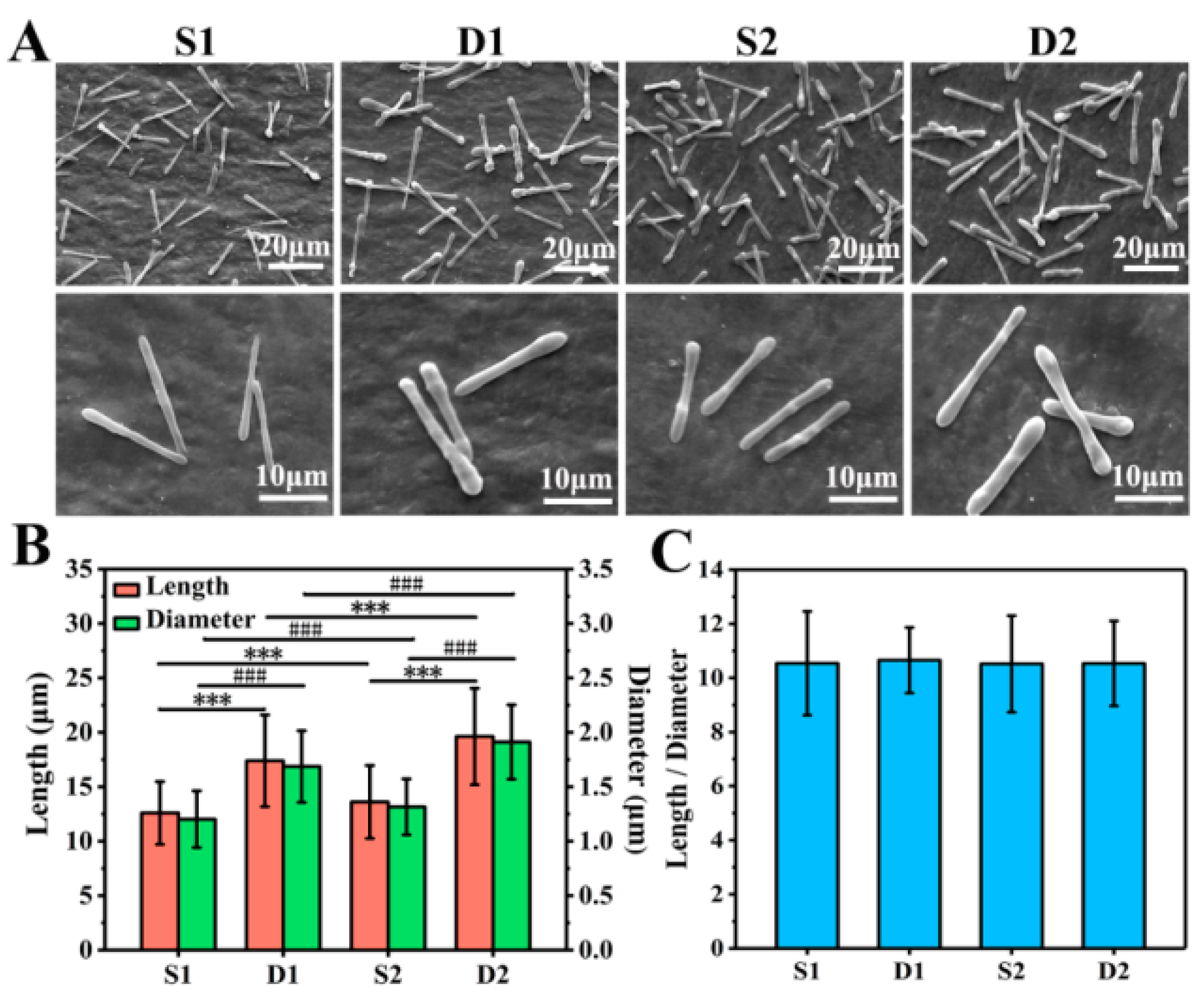 Pharmaceutics 13 01116 g003