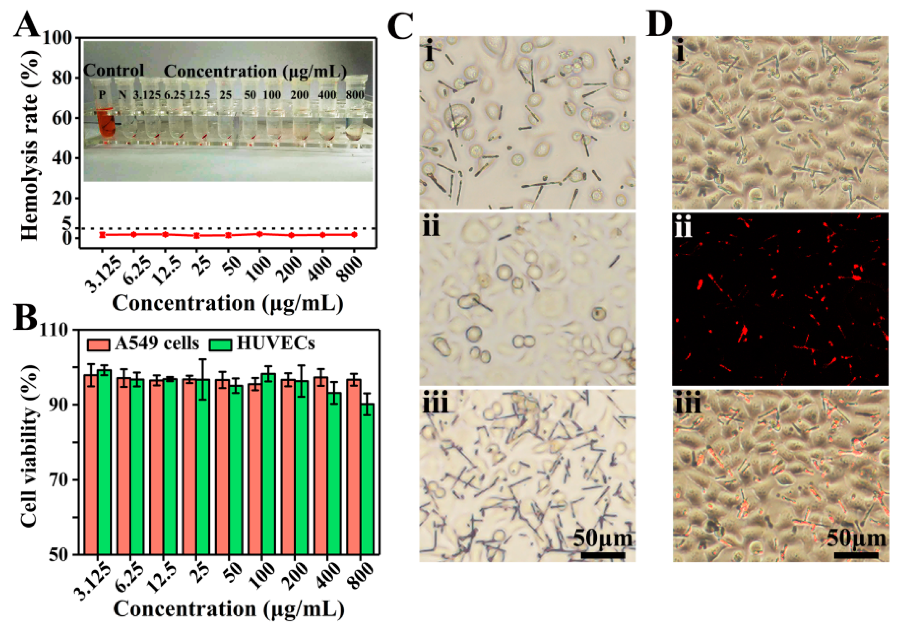 Pharmaceutics 13 01116 g005