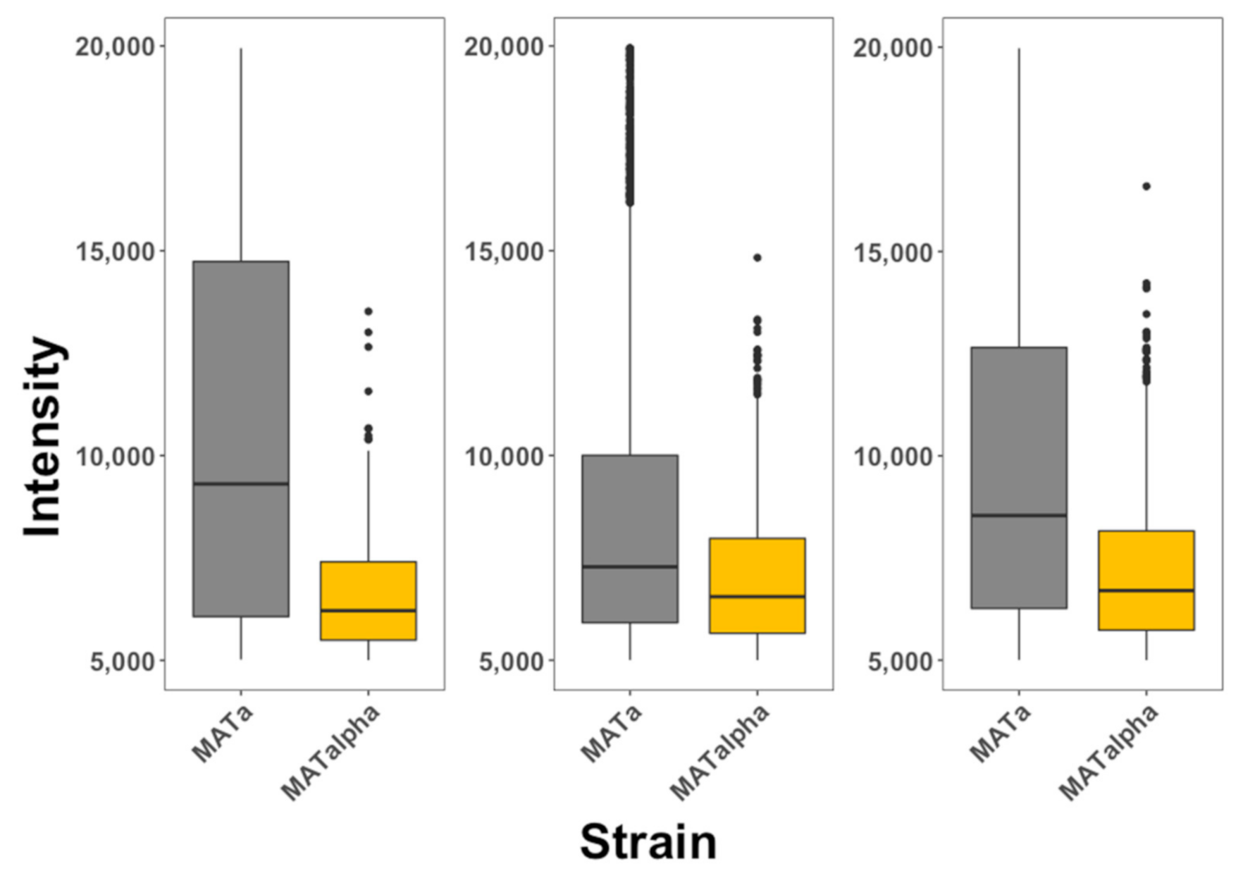 Pharmaceutics 13 01119 g003