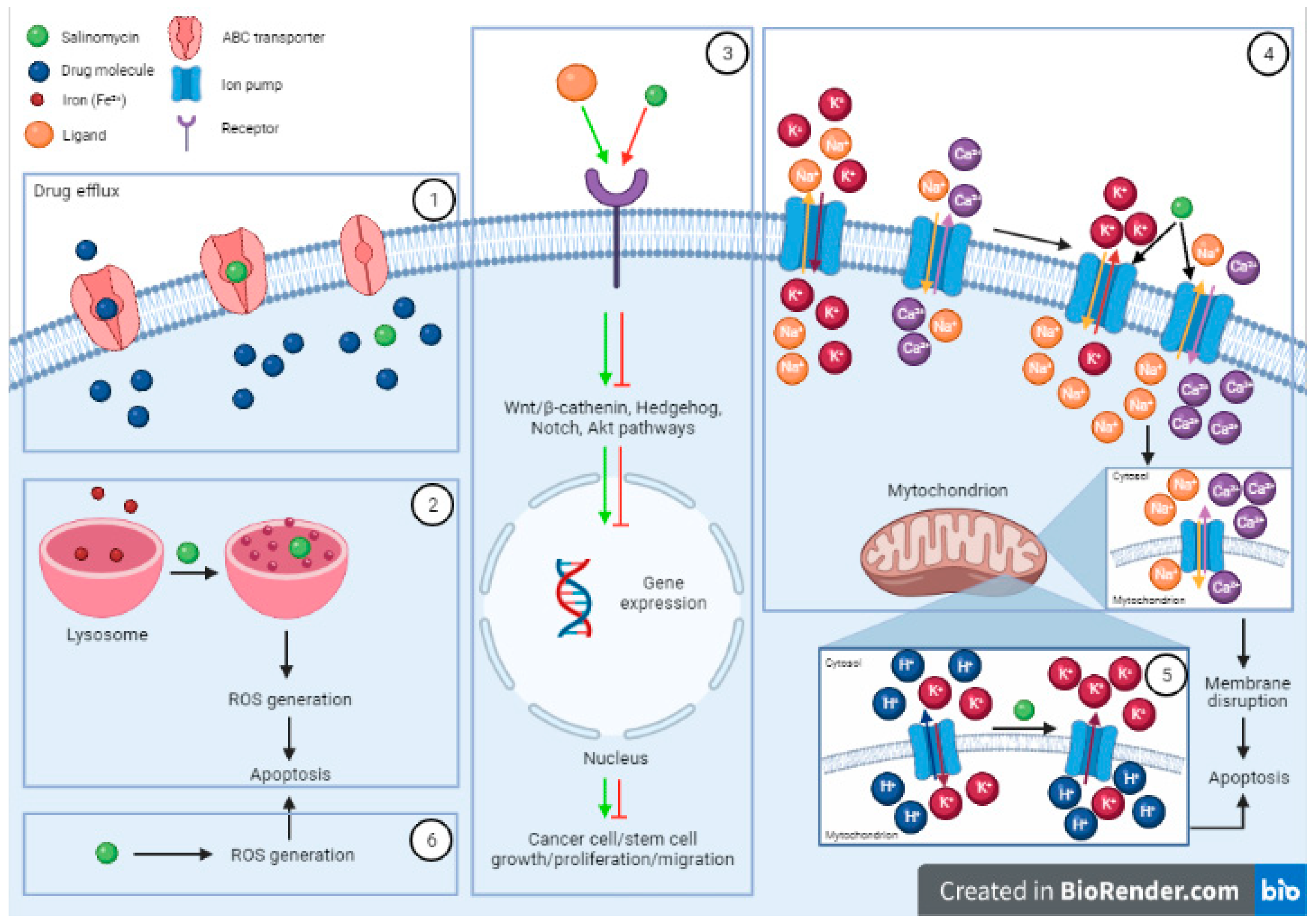Pharmaceutics 13 01120 g002