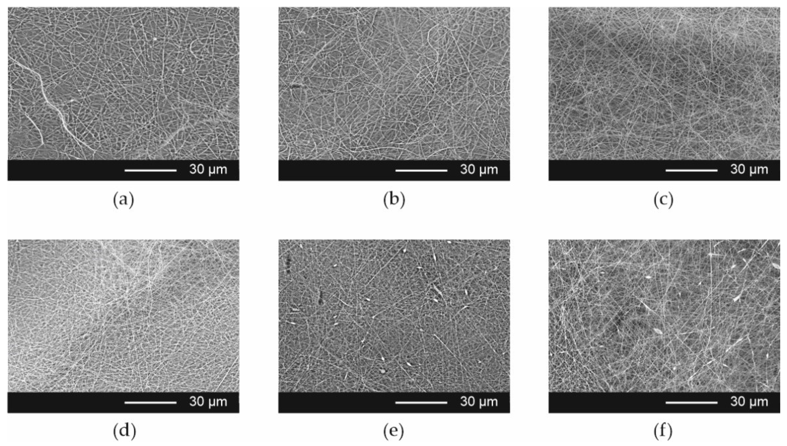 Pharmaceutics 13 01122 g001