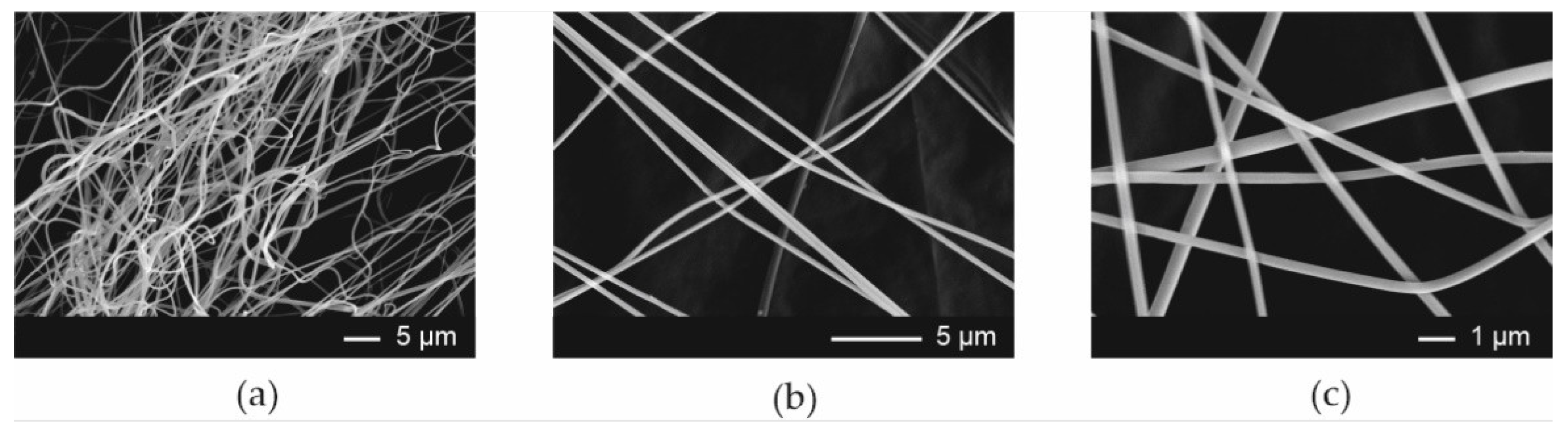 Pharmaceutics 13 01122 g002