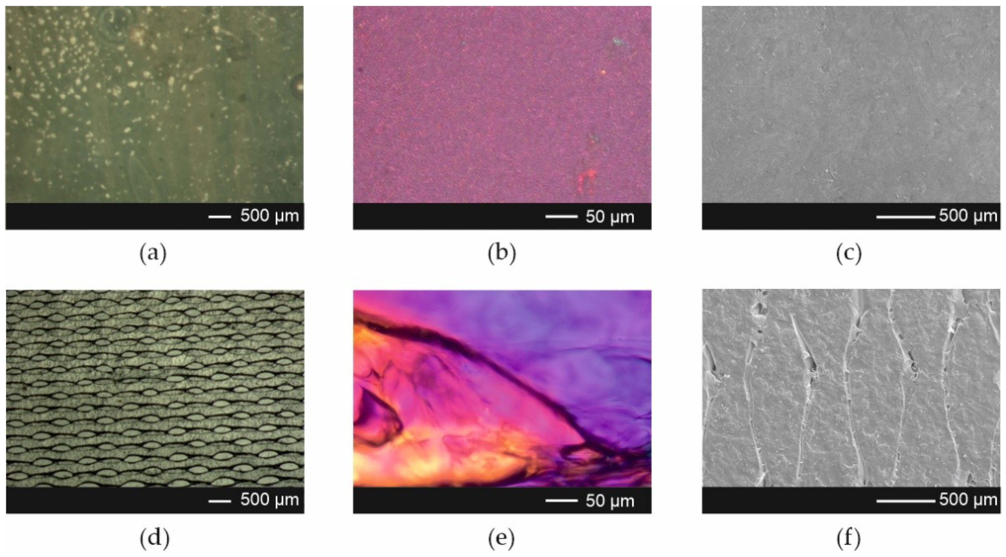 Pharmaceutics 13 01122 g003