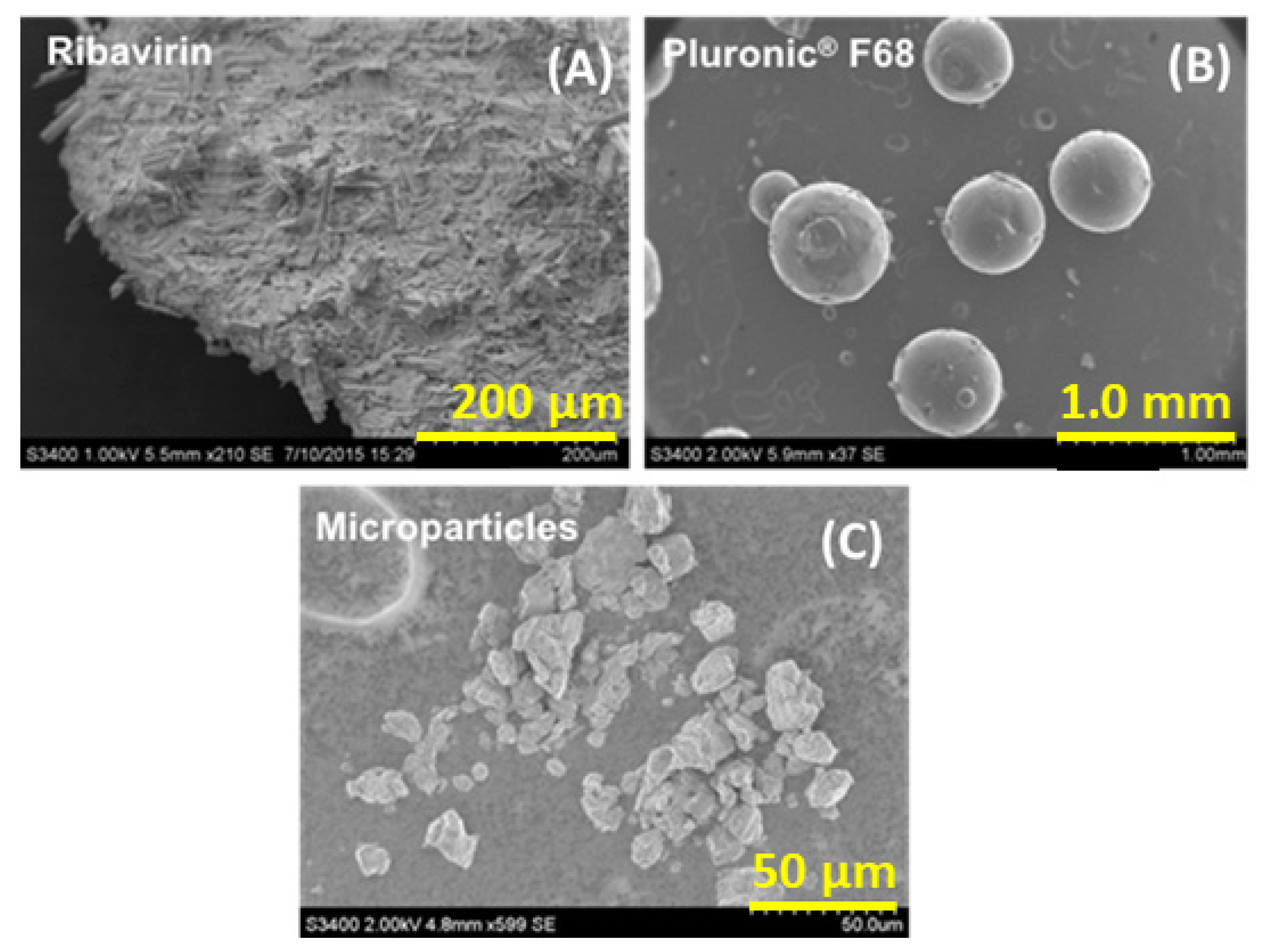 Pharmaceutics 13 01126 g003