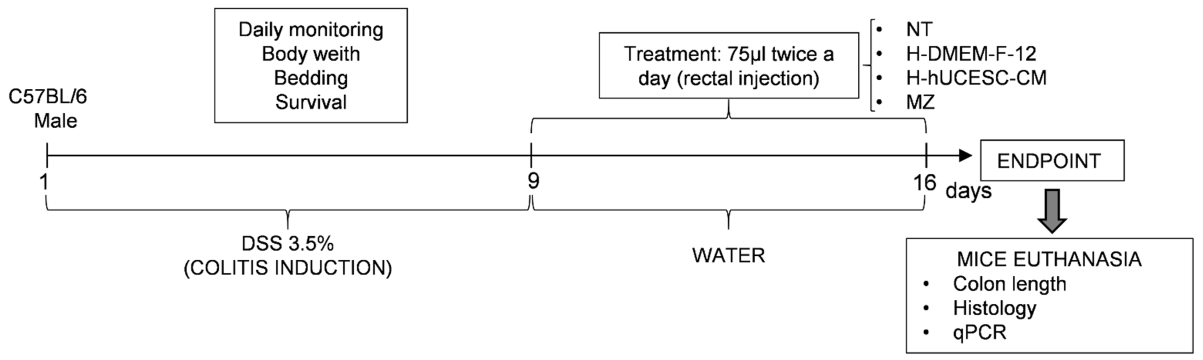 Pharmaceutics 13 01127 g001