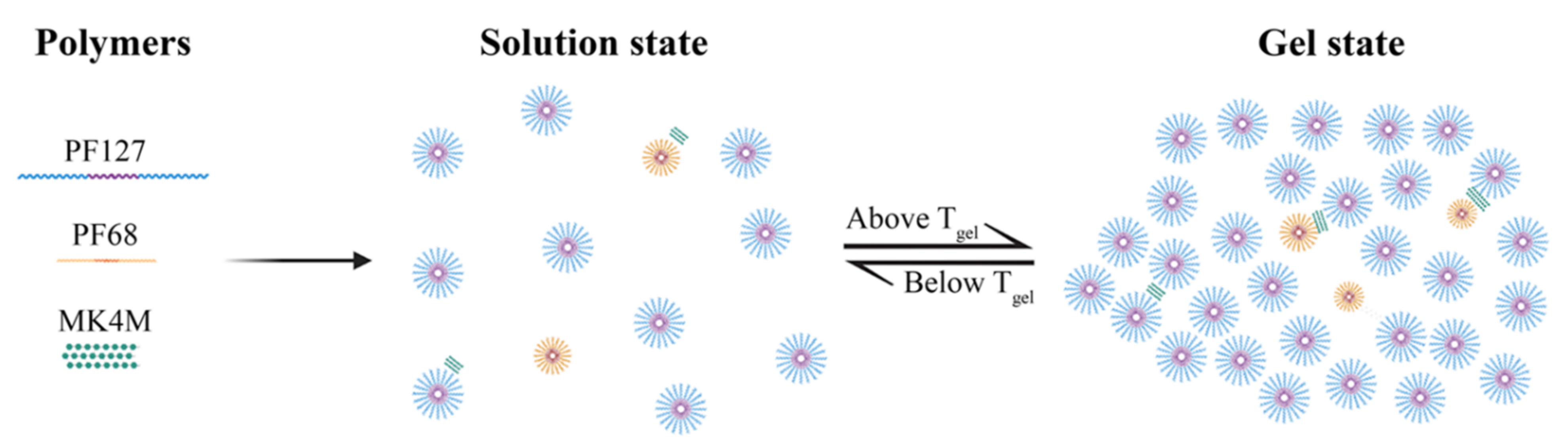 Pharmaceutics 13 01127 g002