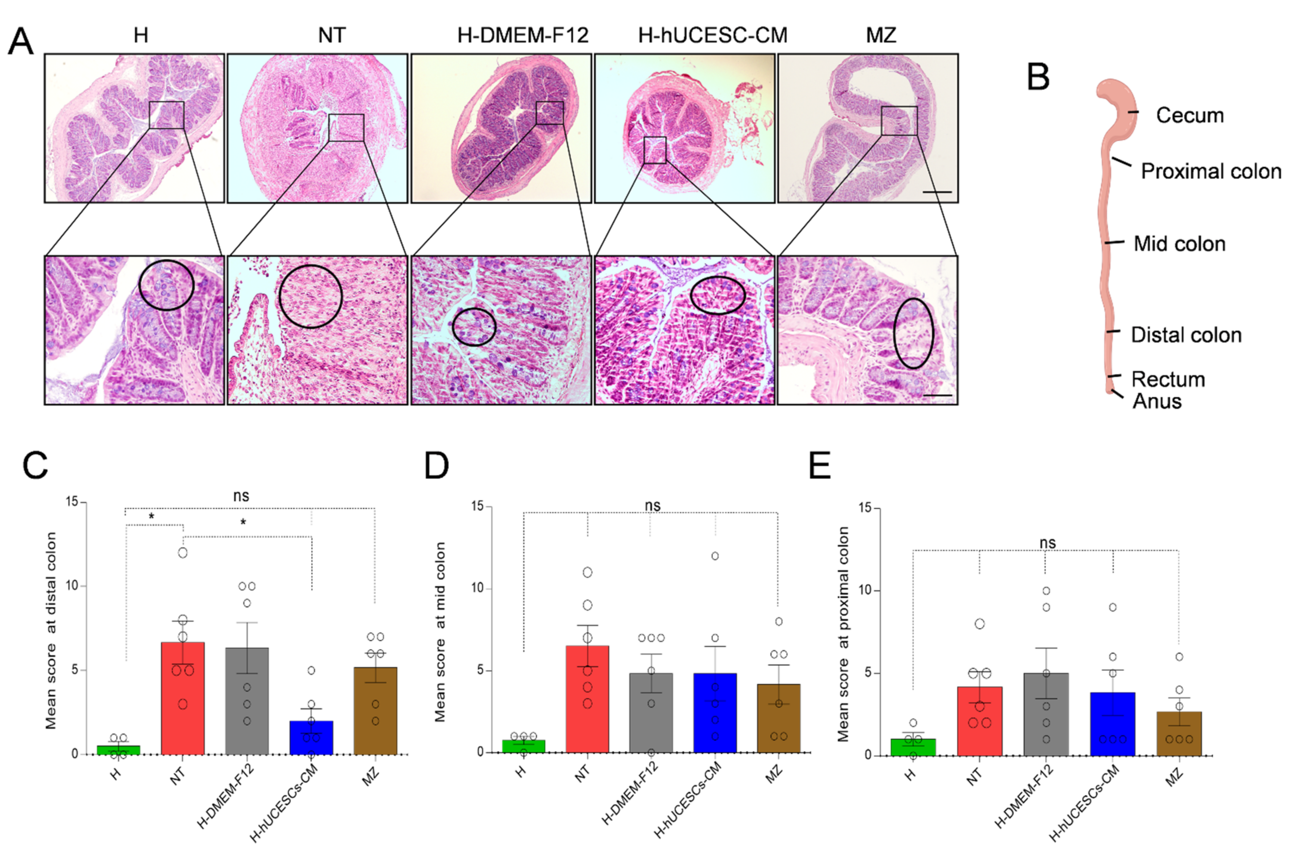 Pharmaceutics 13 01127 g005