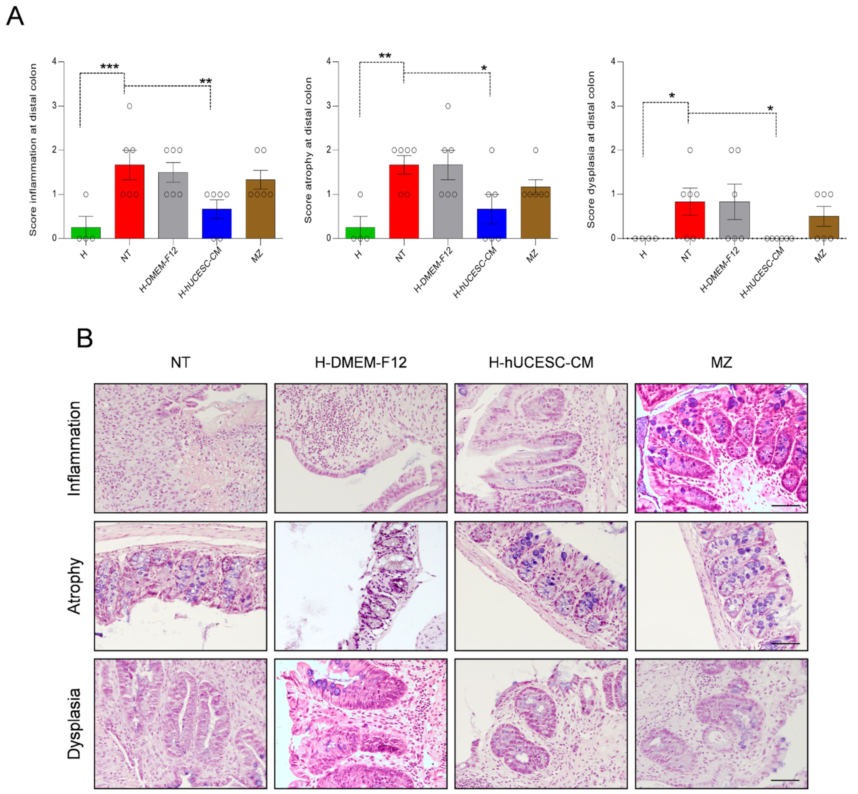 Pharmaceutics 13 01127 g006