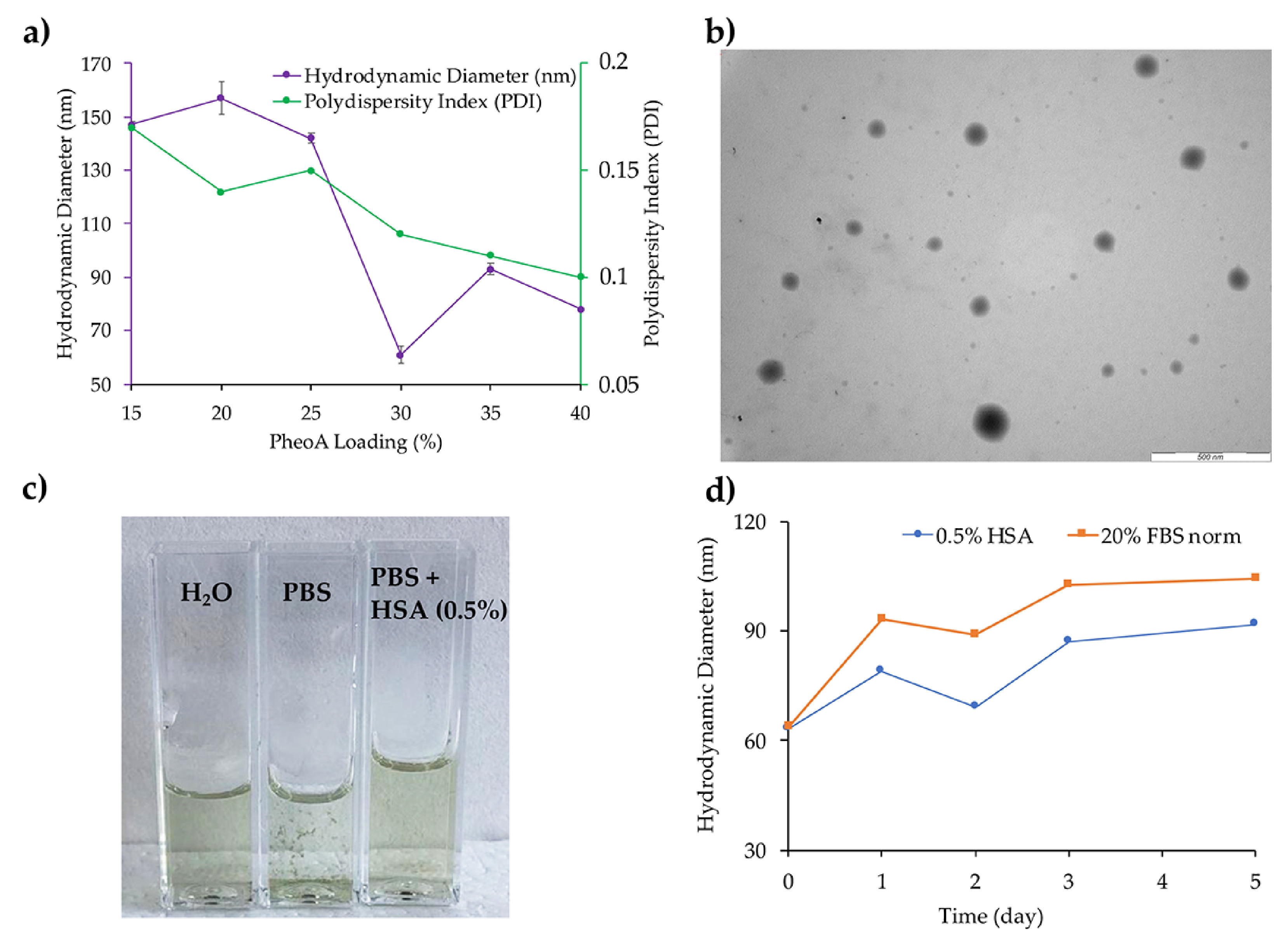 Pharmaceutics 13 01130 g002