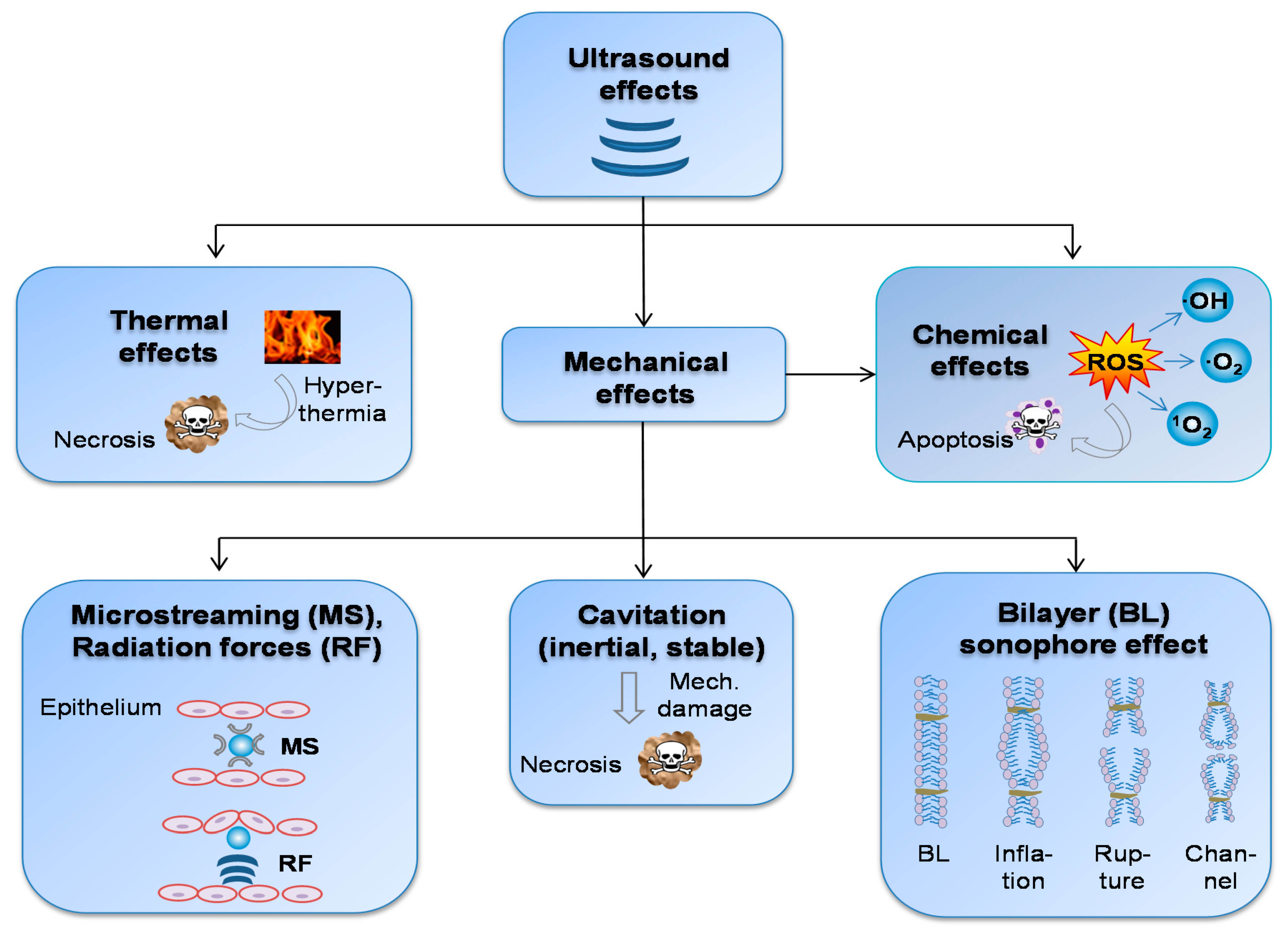 Pharmaceutics 13 01135 g002