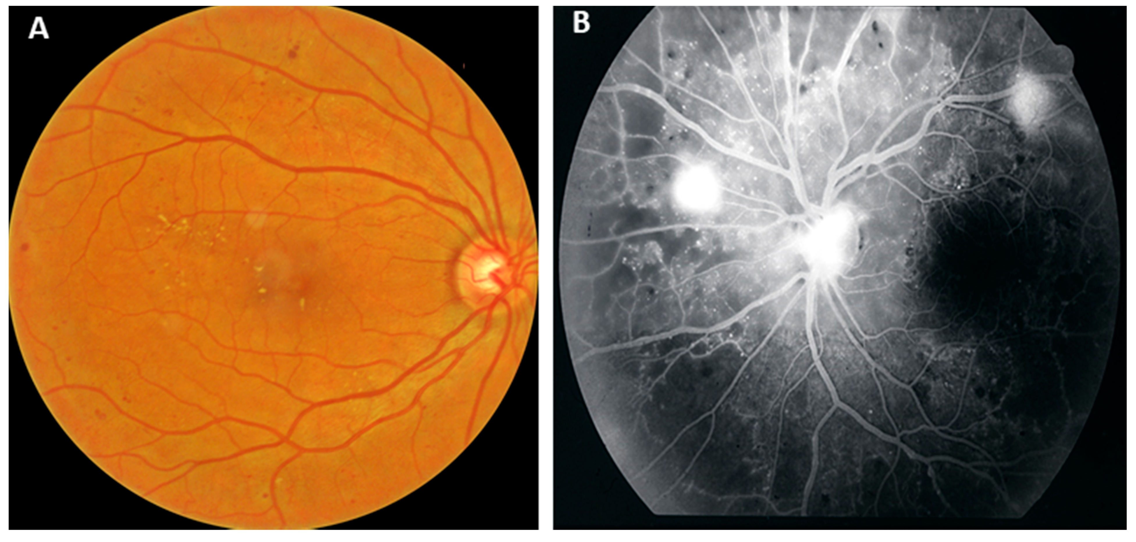 Pharmaceutics 13 01137 g001