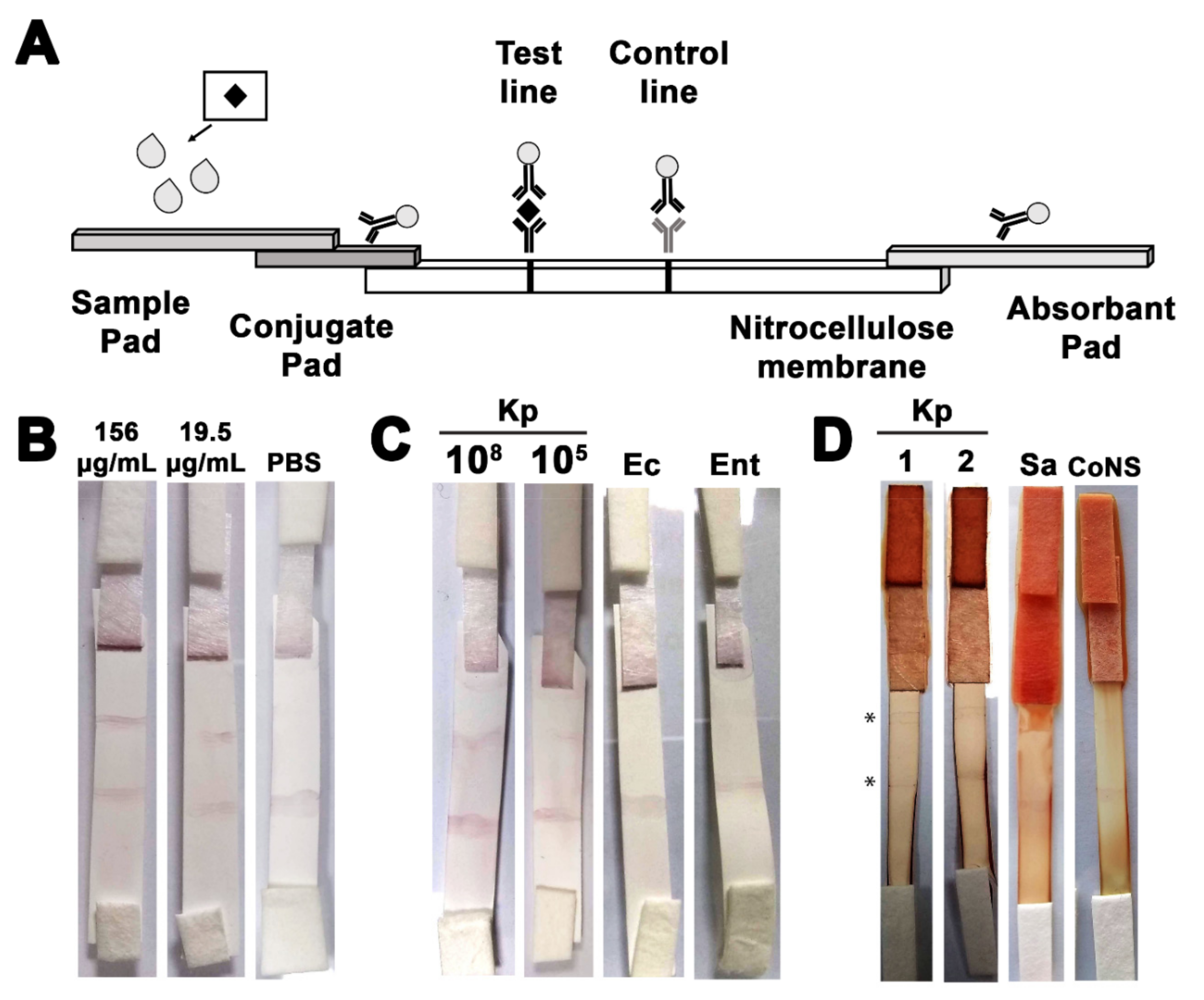 Pharmaceutics 13 01141 g004