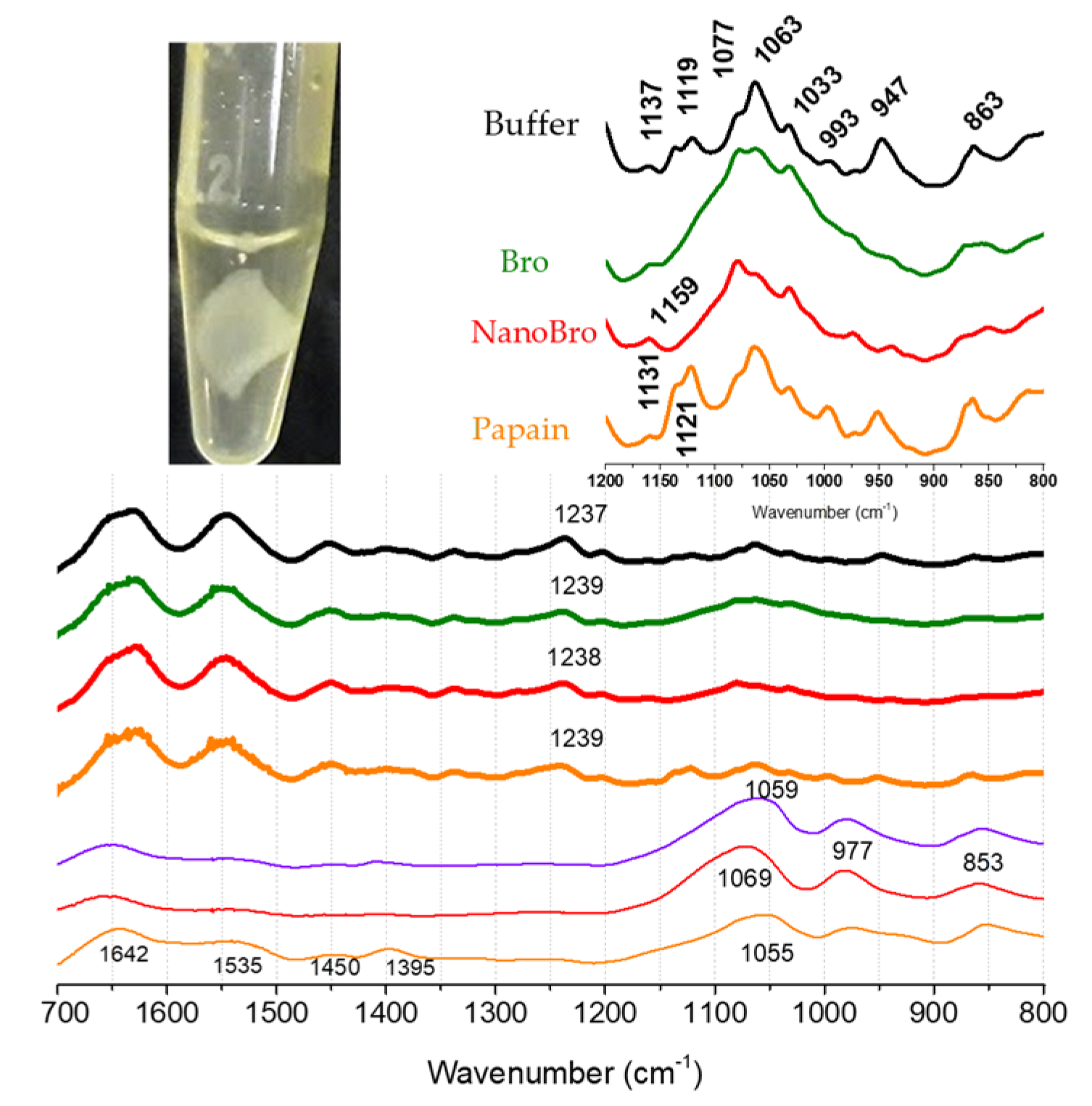 Pharmaceutics 13 01143 g007