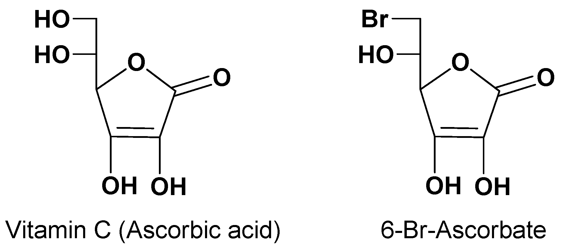 Pharmaceutics 13 01144 g001 Pharmaceutics 13 01144 g001