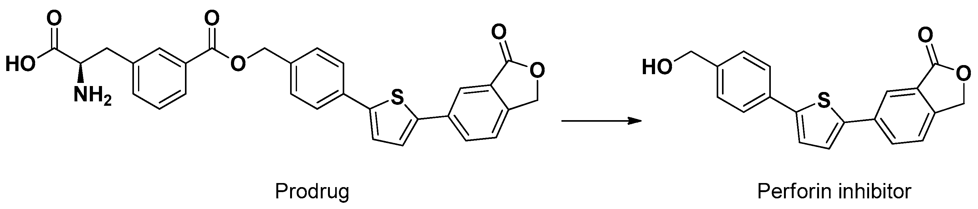 Pharmaceutics 13 01144 g007 Pharmaceutics 13 01144 g007