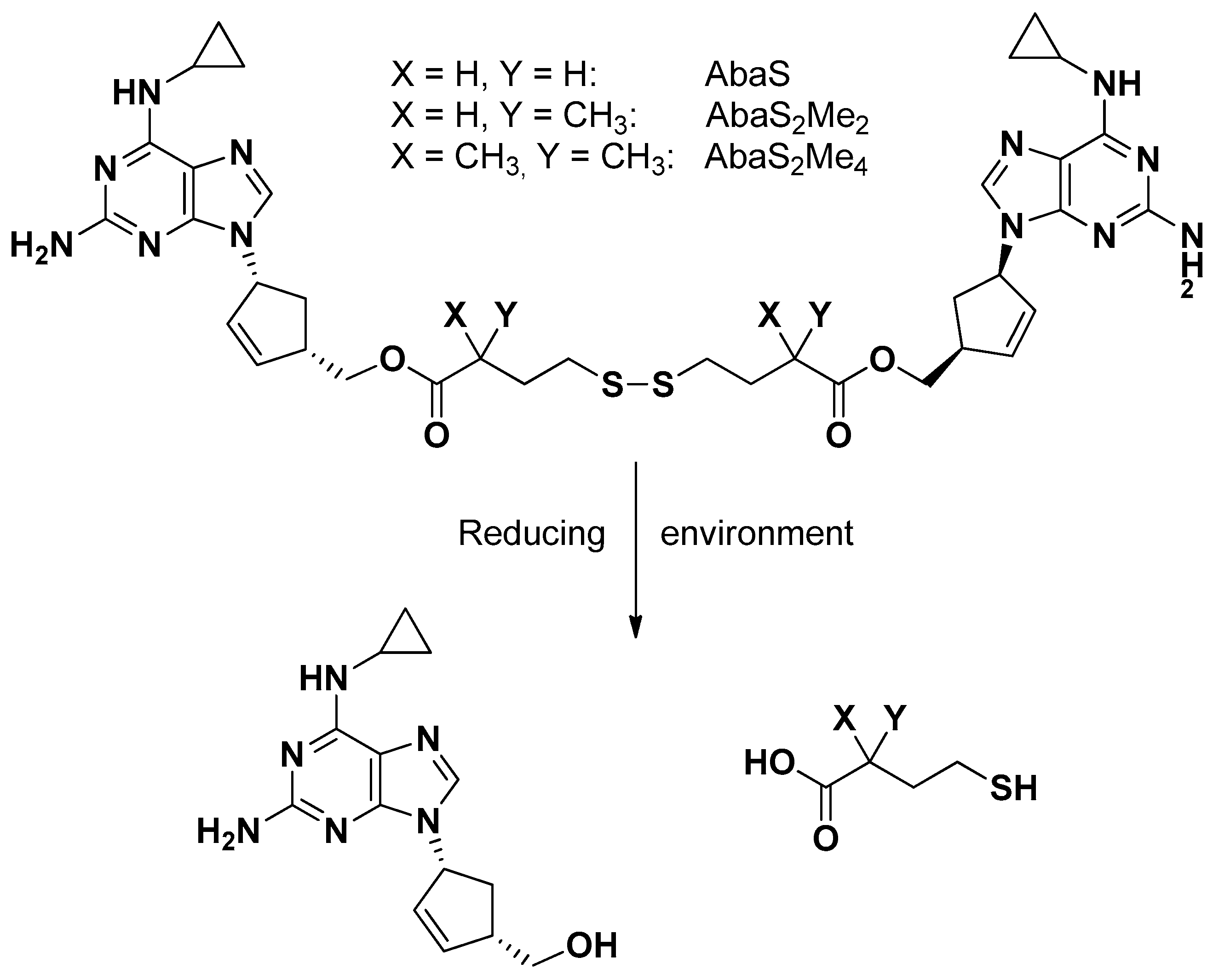 Pharmaceutics 13 01144 g008 Pharmaceutics 13 01144 g008