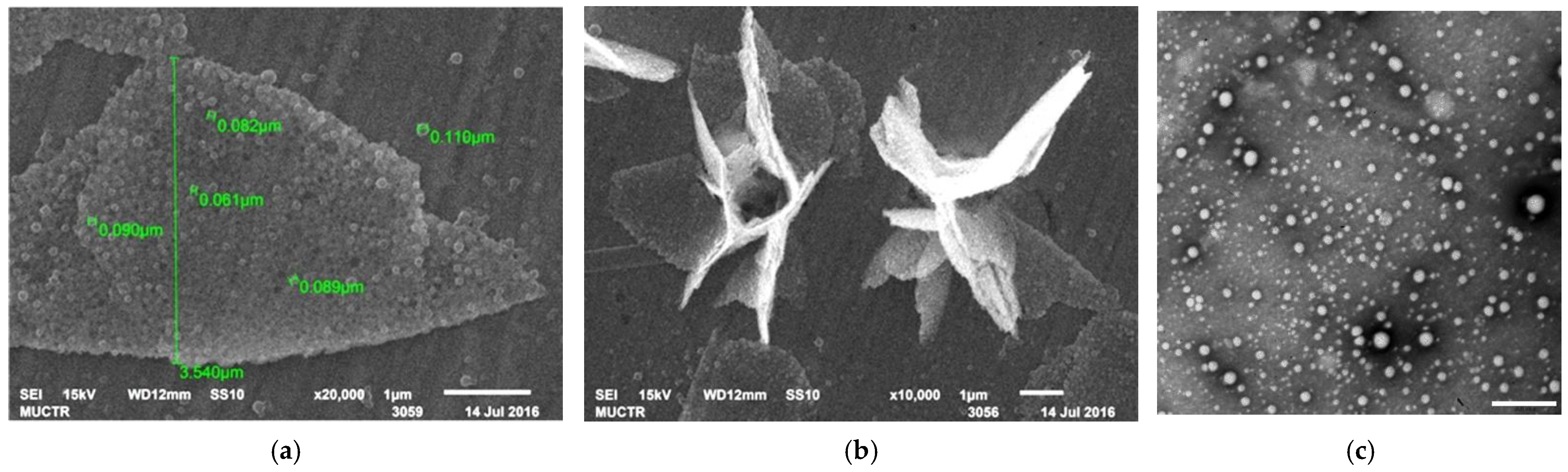 Pharmaceutics 13 01145 g001 Pharmaceutics 13 01145 g001