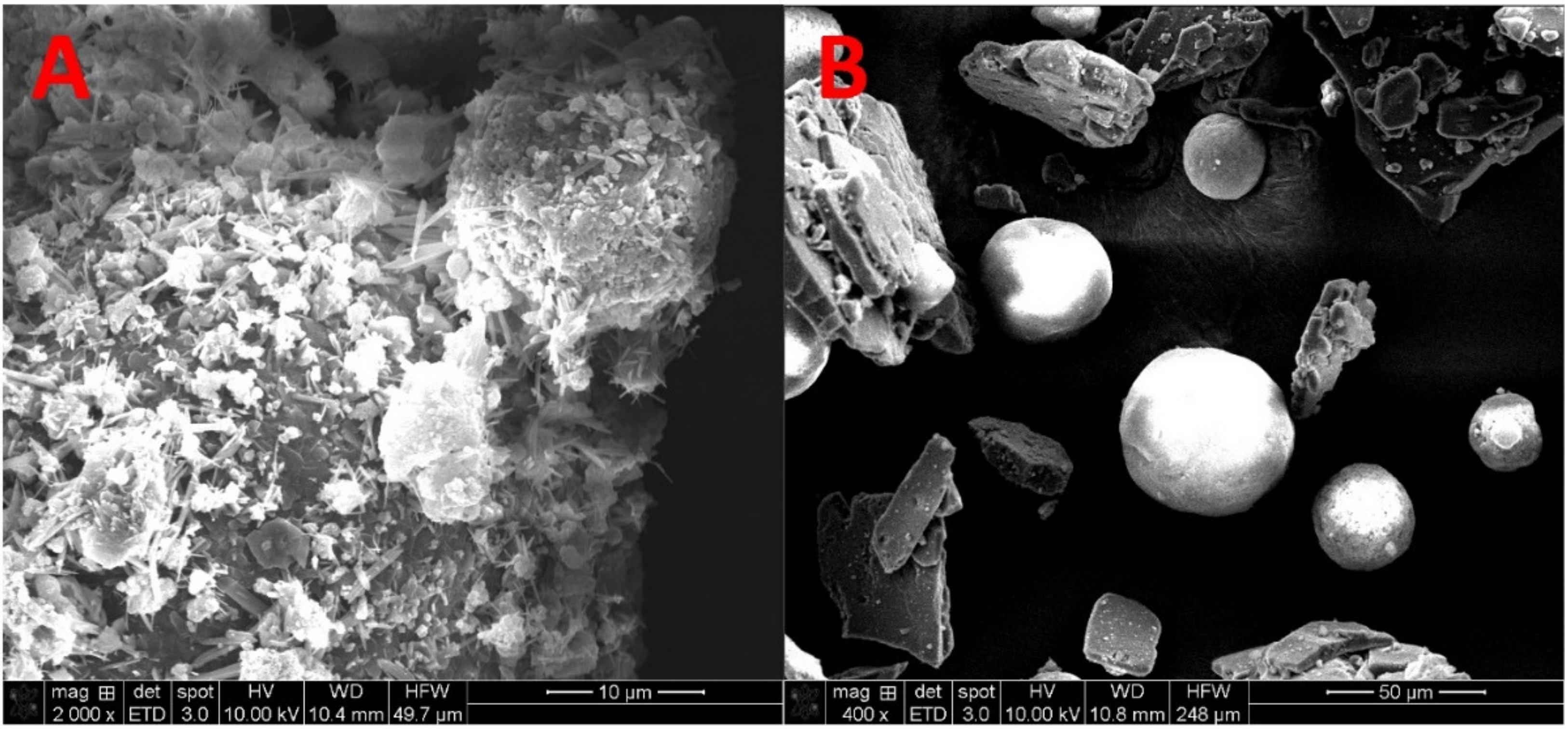 Pharmaceutics 13 01149 g001