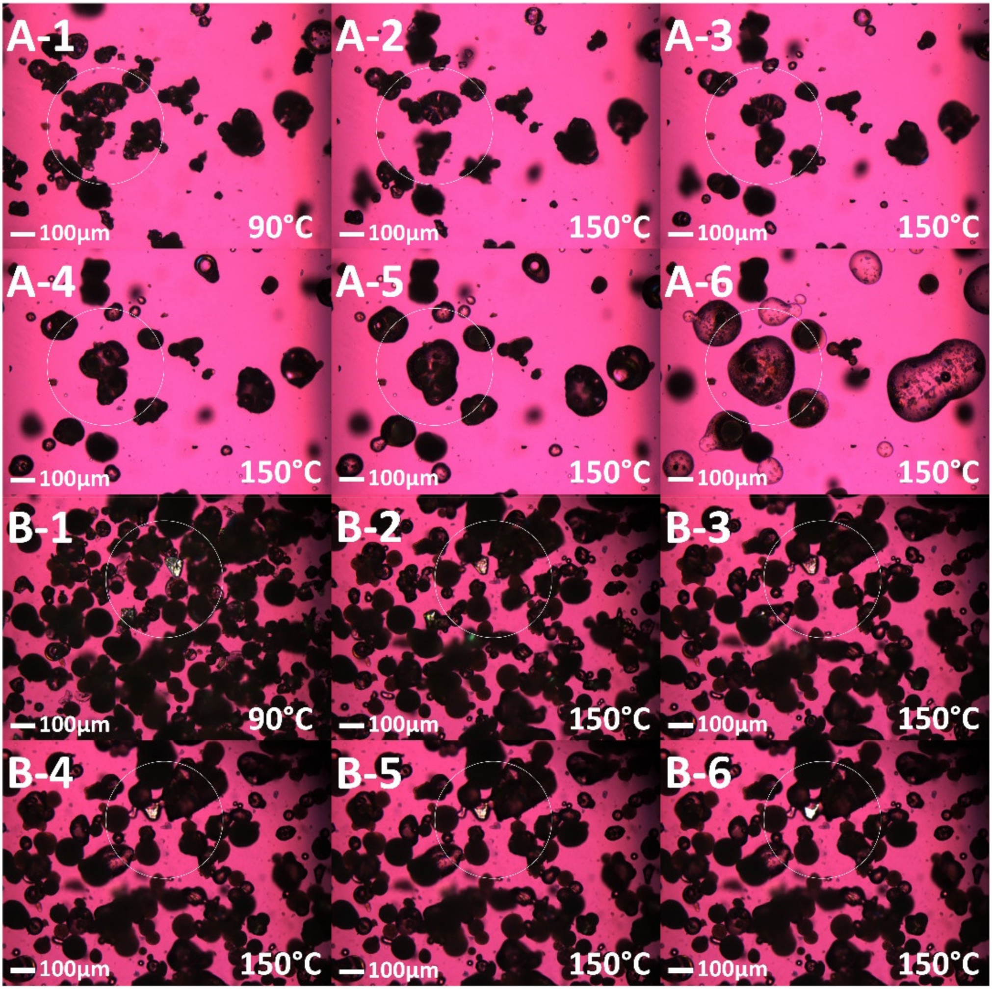 Pharmaceutics 13 01149 g002