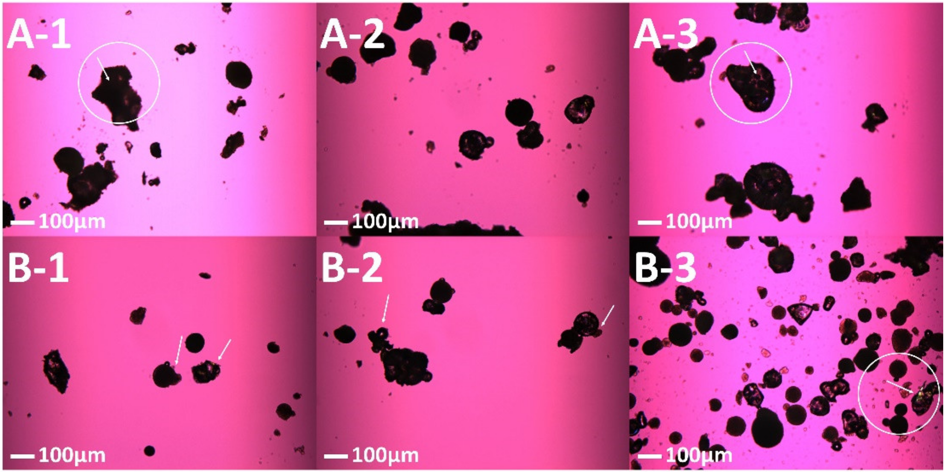 Pharmaceutics 13 01149 g003