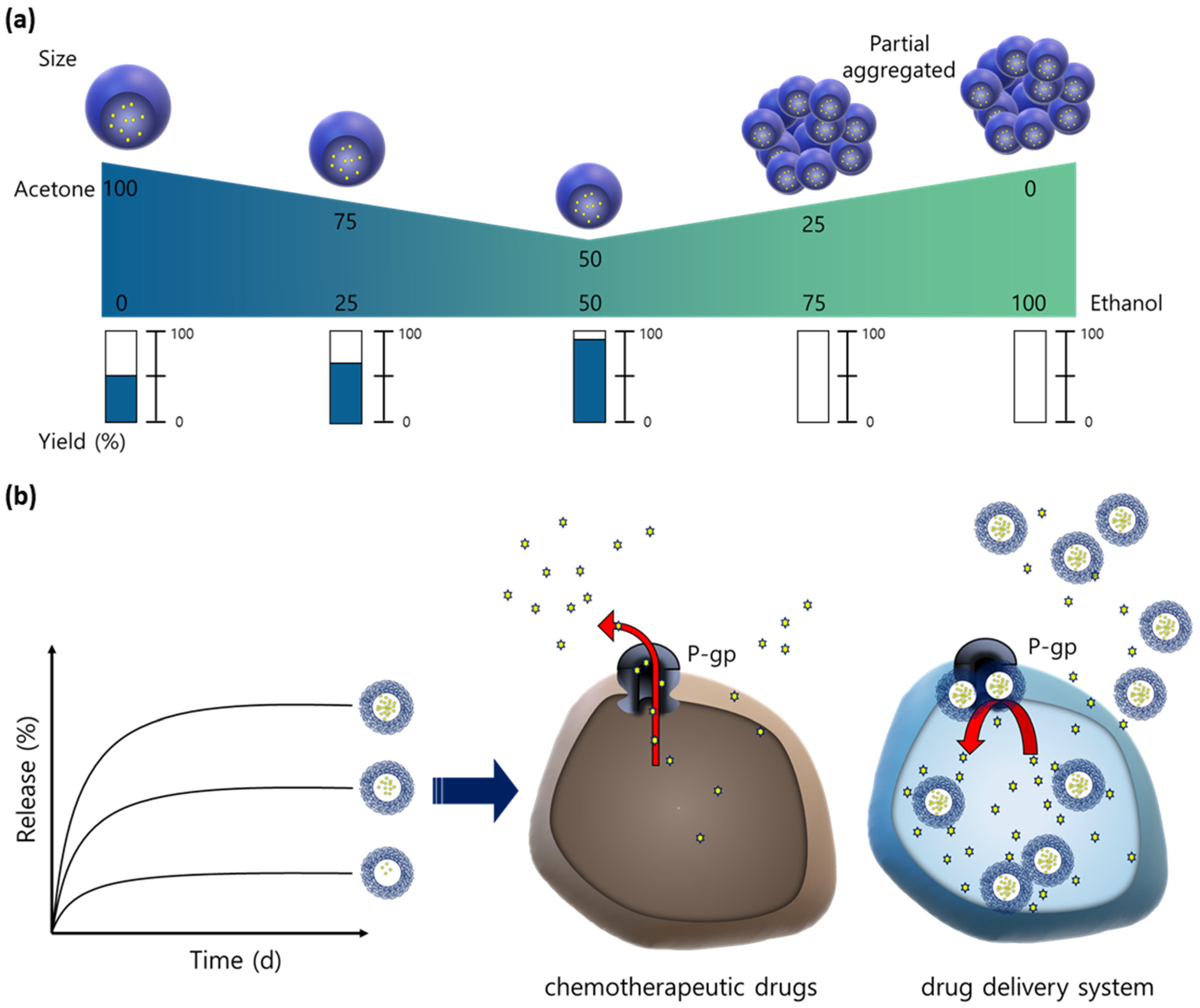 Pharmaceutics 13 01150 g001
