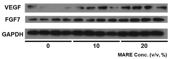 Pharmaceutics 13 01155 g0a2