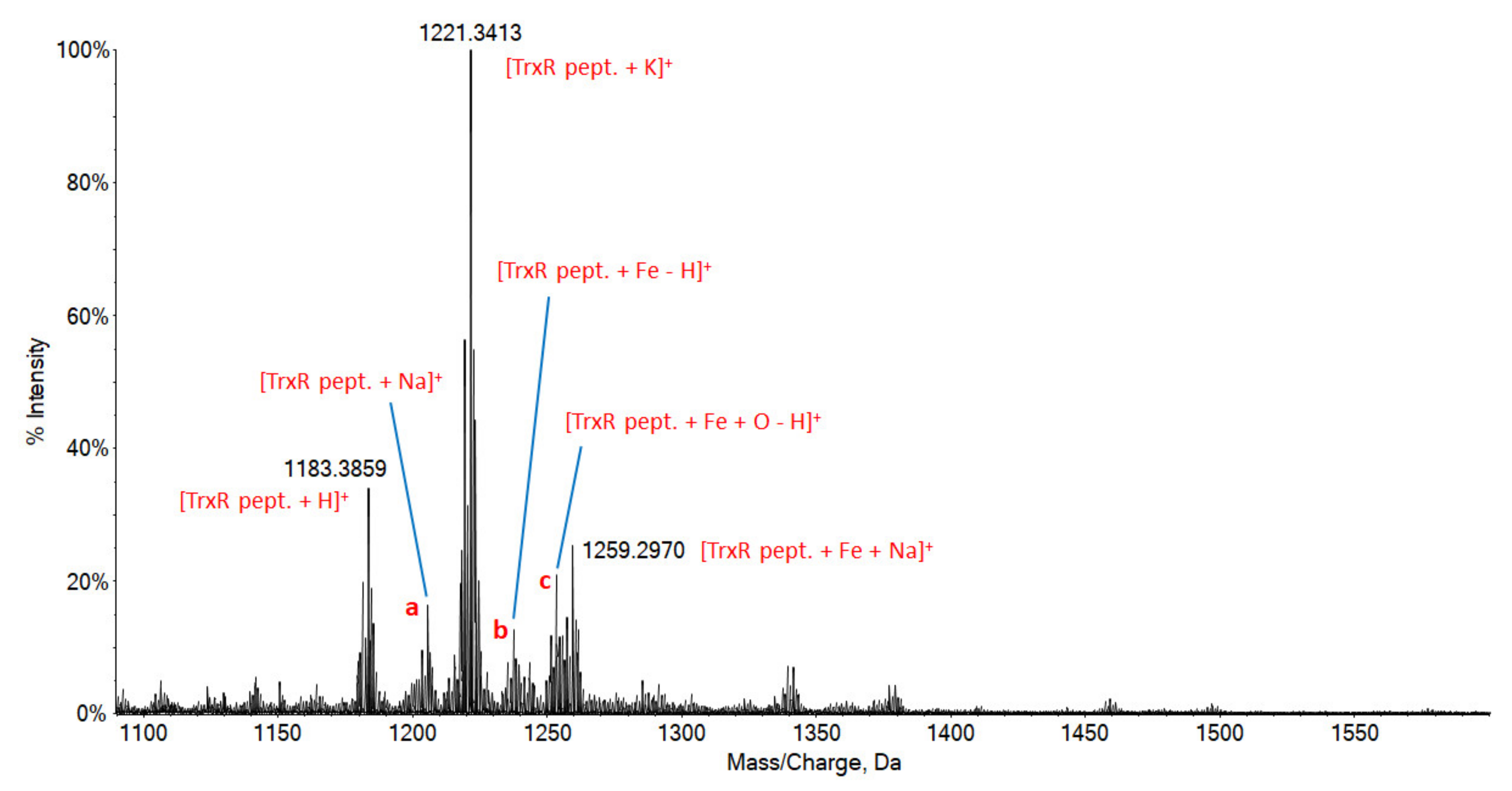 Pharmaceutics 13 01158 g004