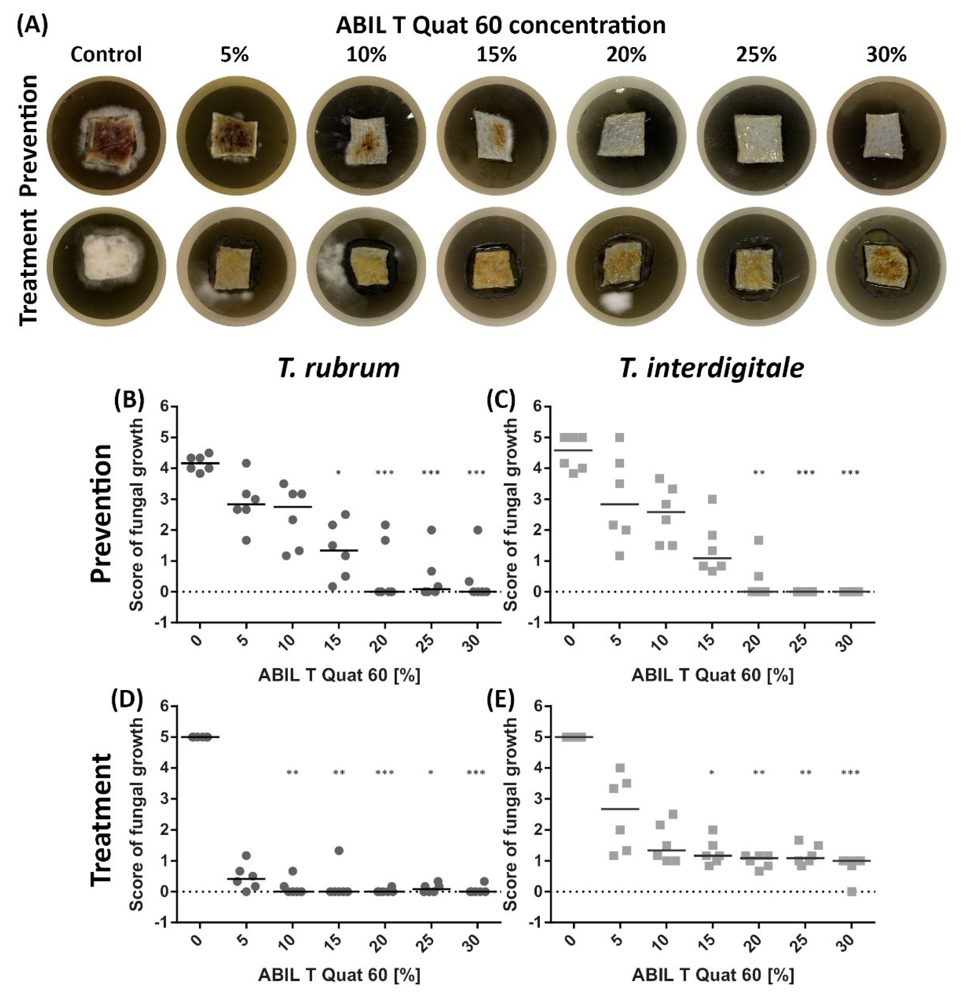 Pharmaceutics 13 01161 g001 Pharmaceutics 13 01161 g001
