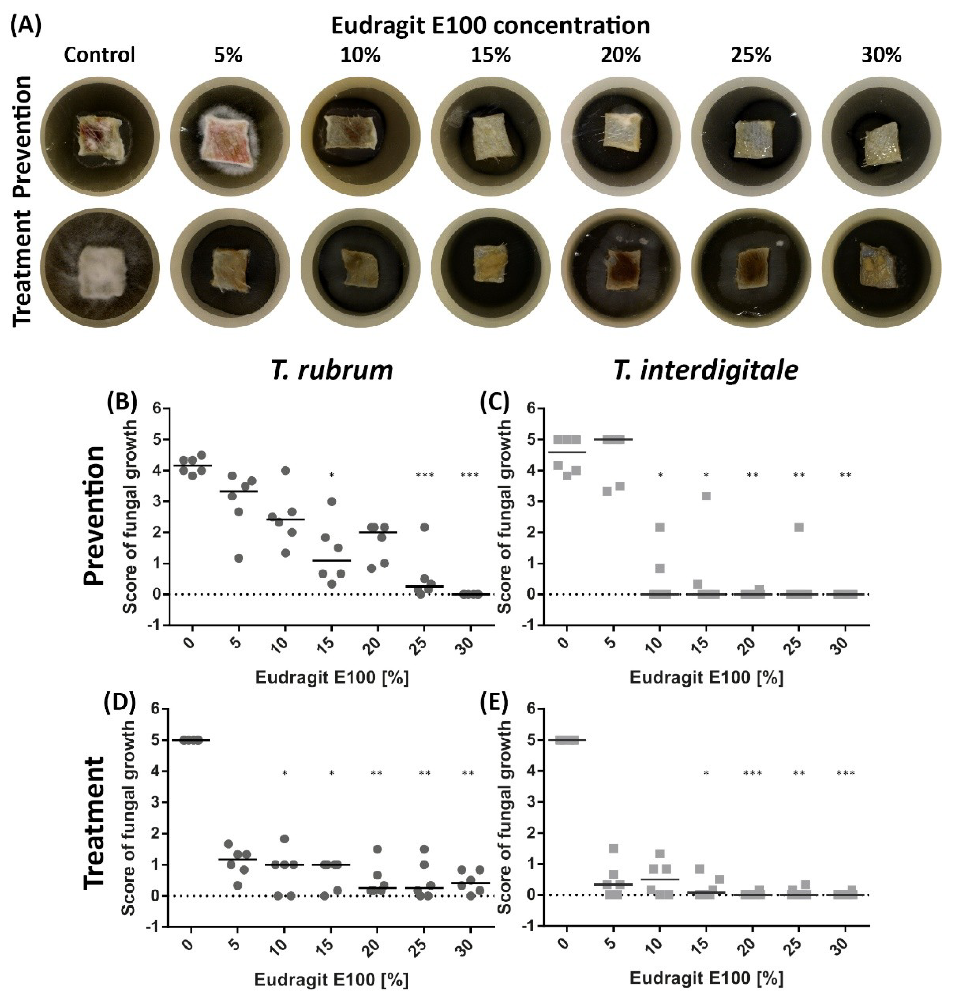 Pharmaceutics 13 01161 g002 Pharmaceutics 13 01161 g002