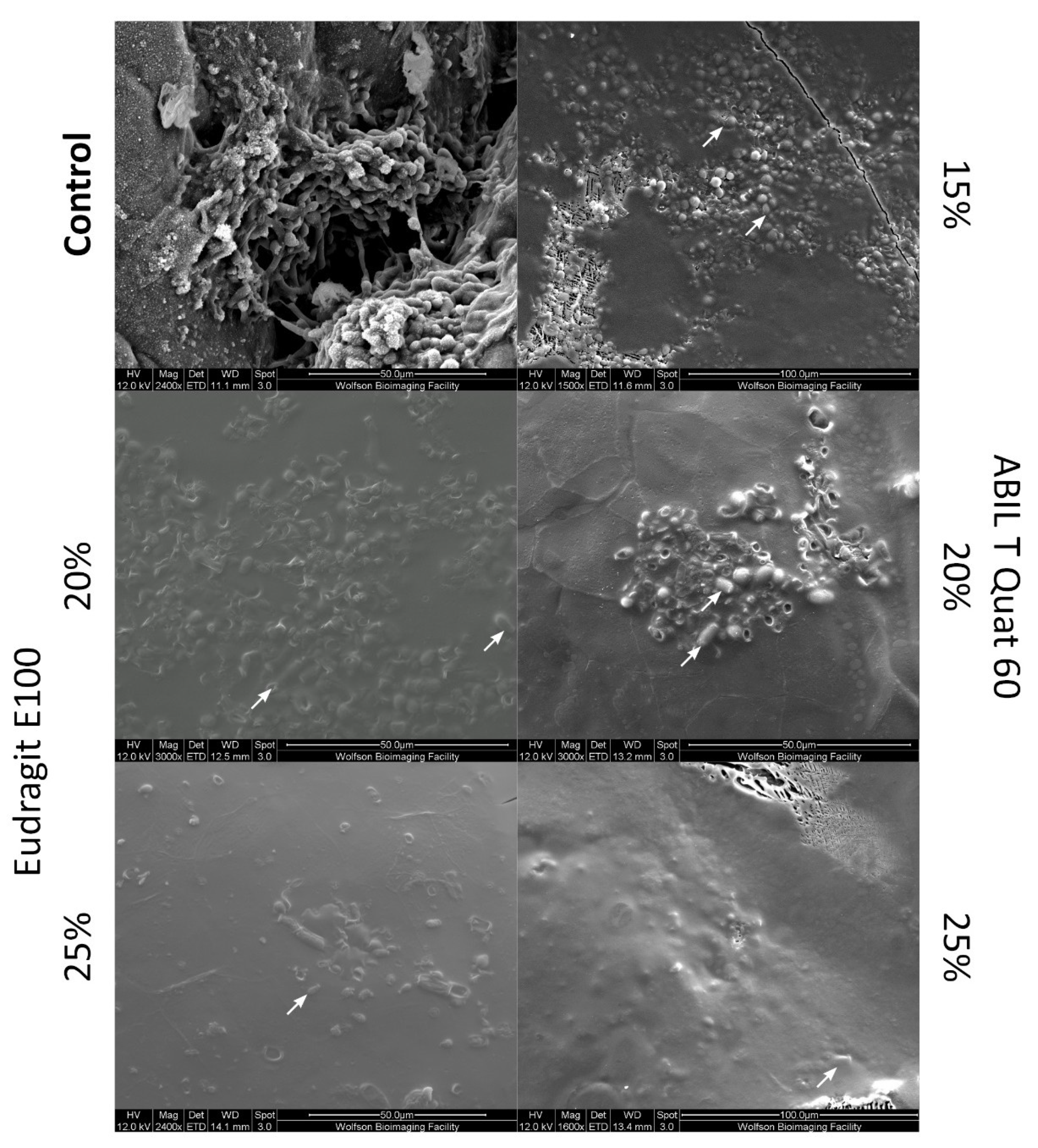 Pharmaceutics 13 01161 g003 Pharmaceutics 13 01161 g003