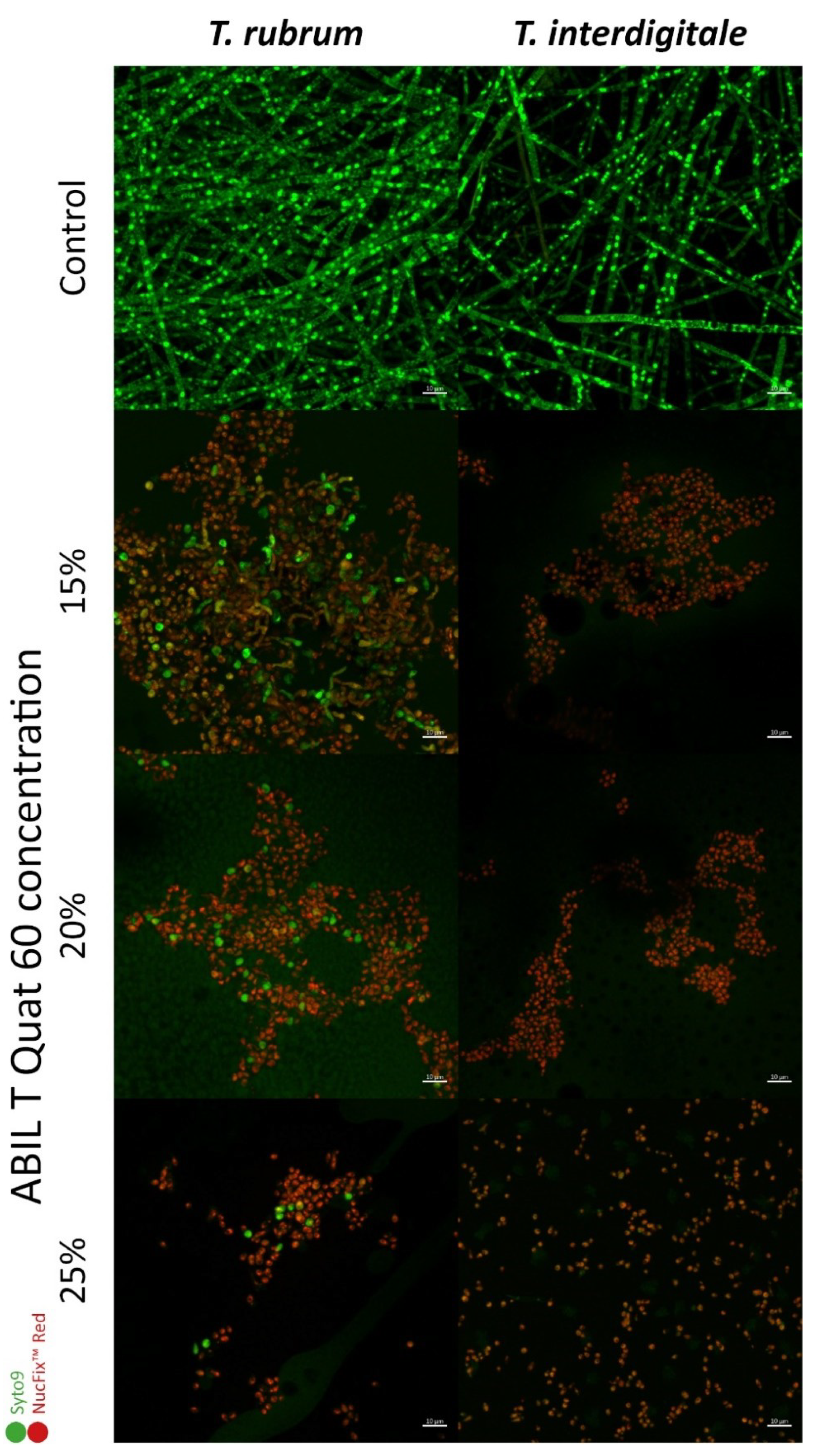 Pharmaceutics 13 01161 g005 Pharmaceutics 13 01161 g005