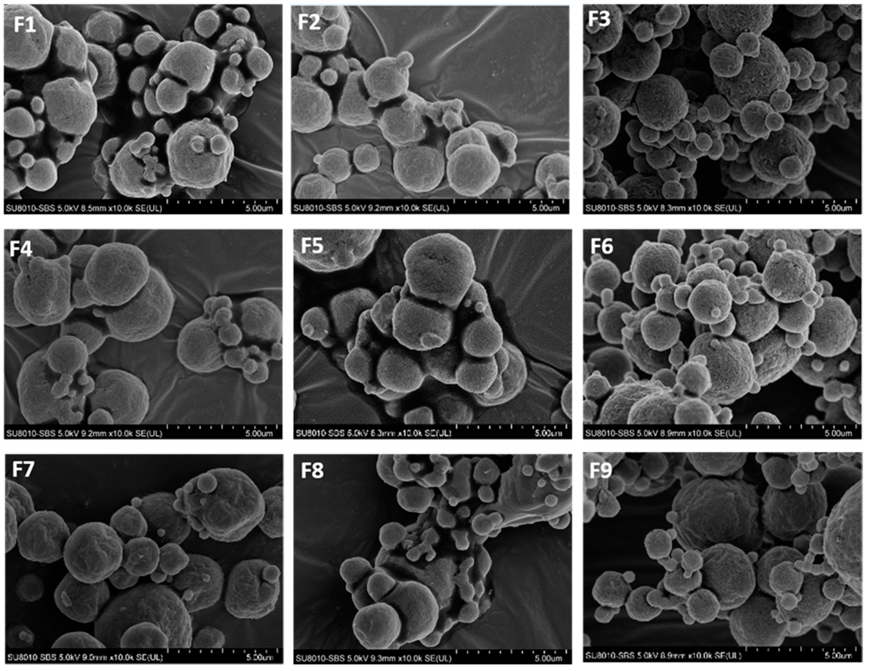 Pharmaceutics 13 01162 g002
