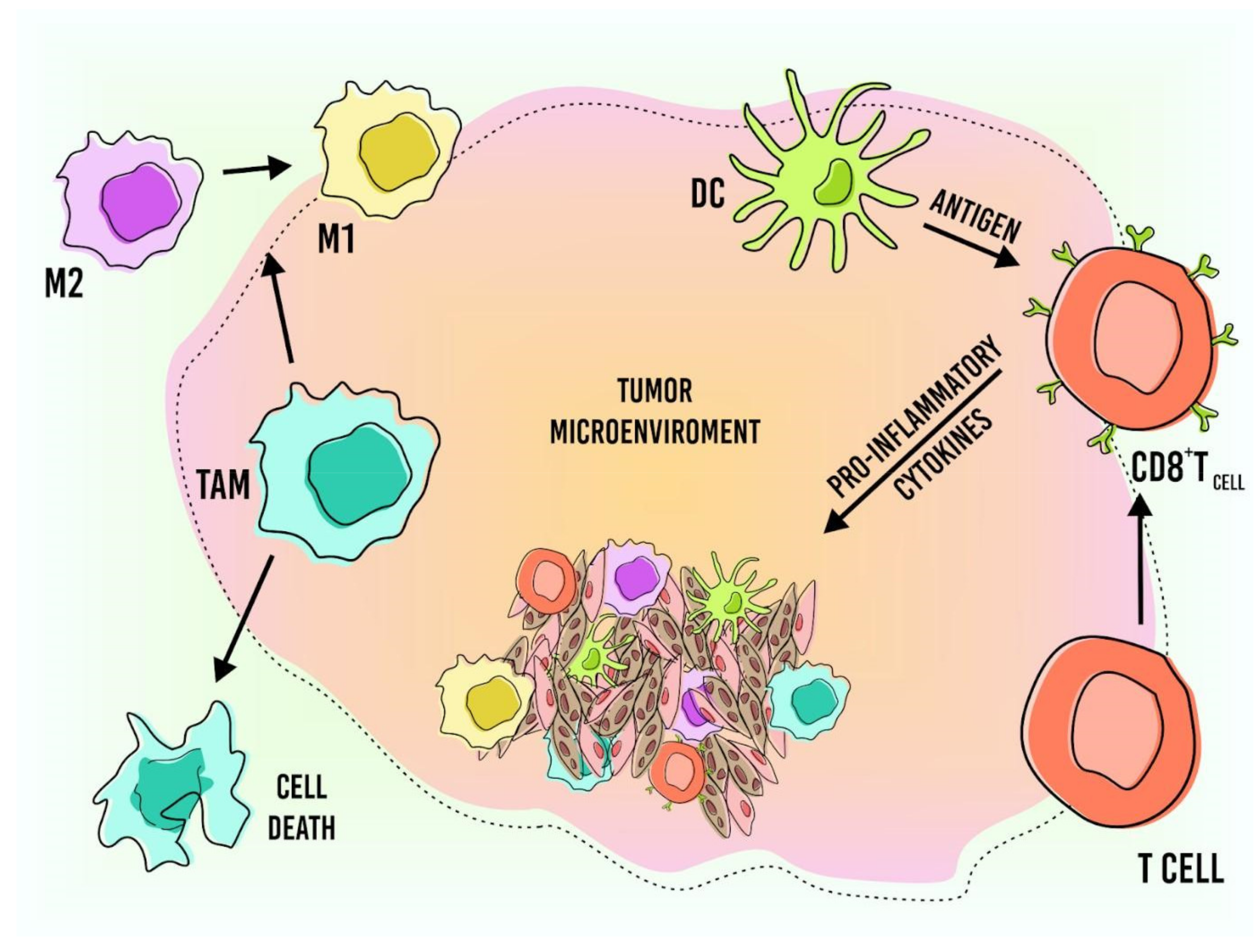 Pharmaceutics 13 01167 g003
