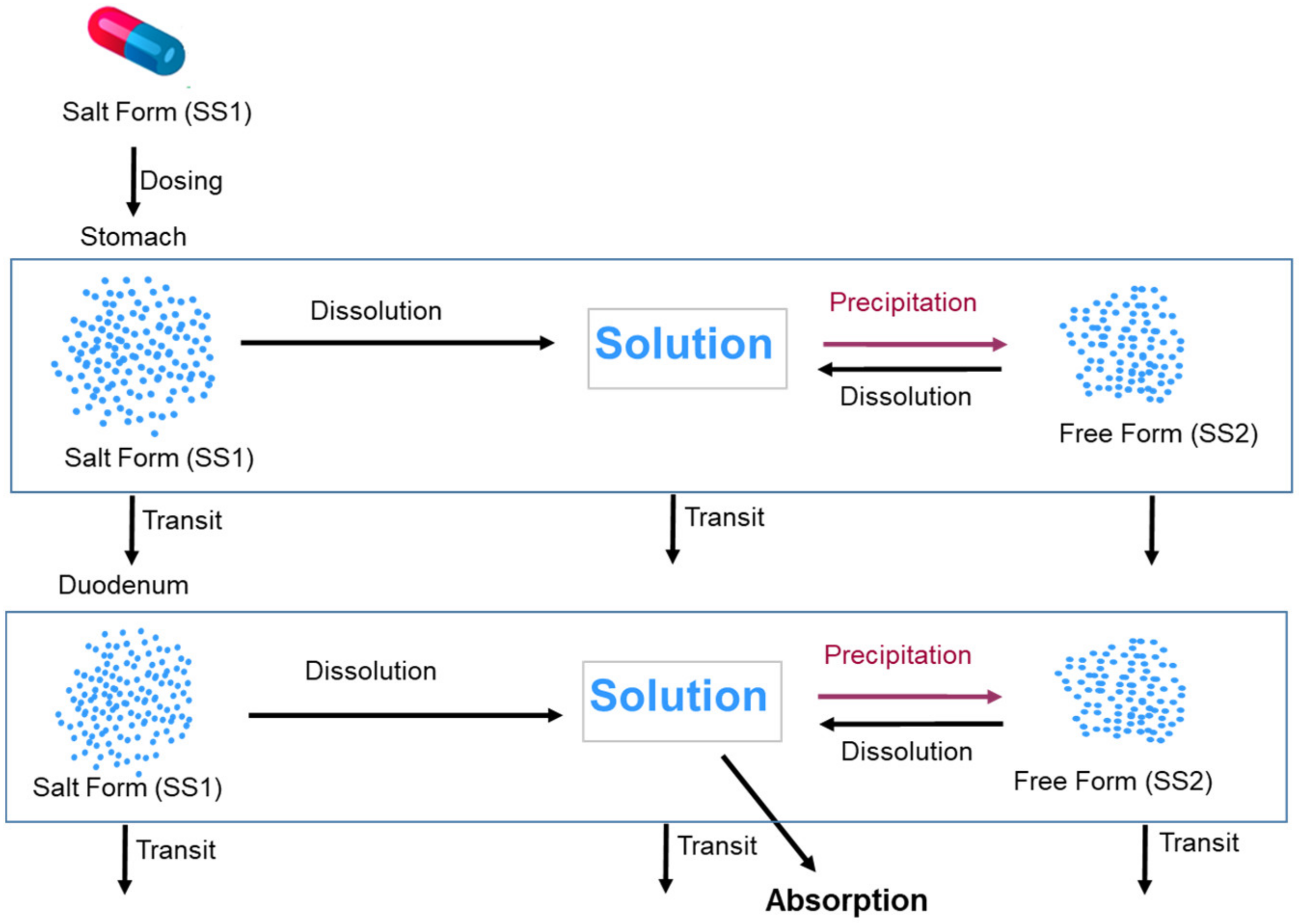 Pharmaceutics 13 01169 g002