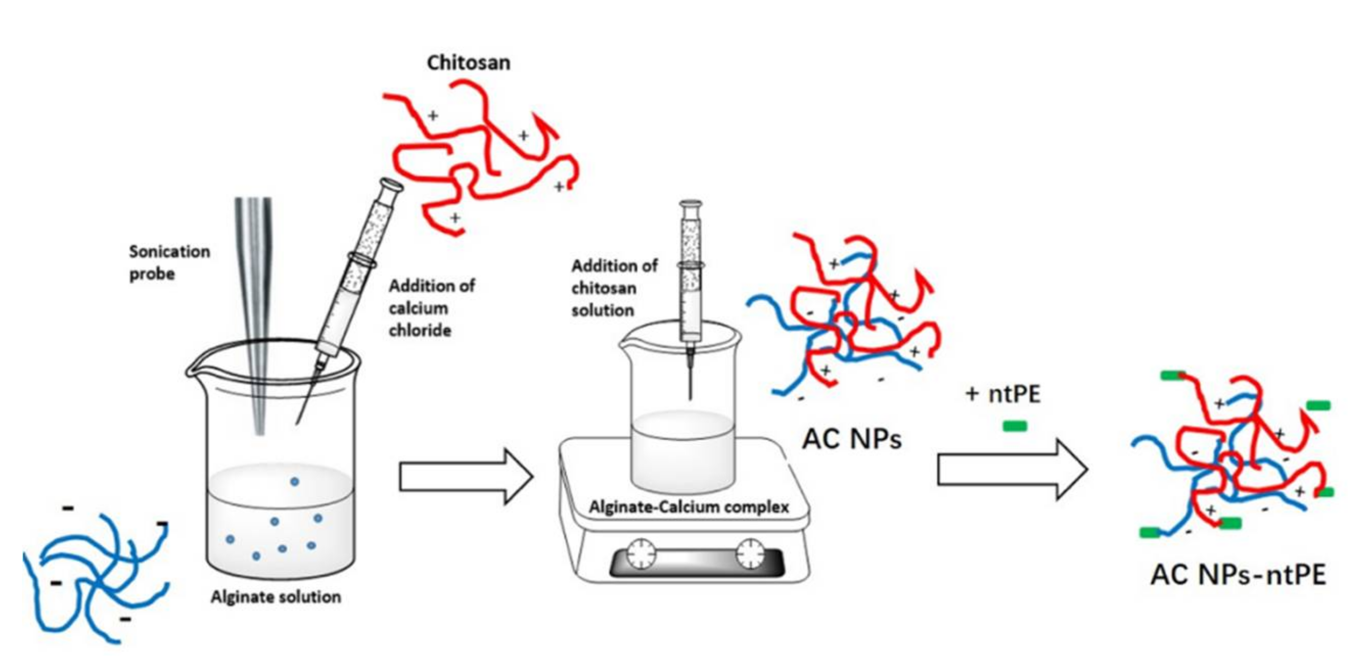 Pharmaceutics 13 01171 g001