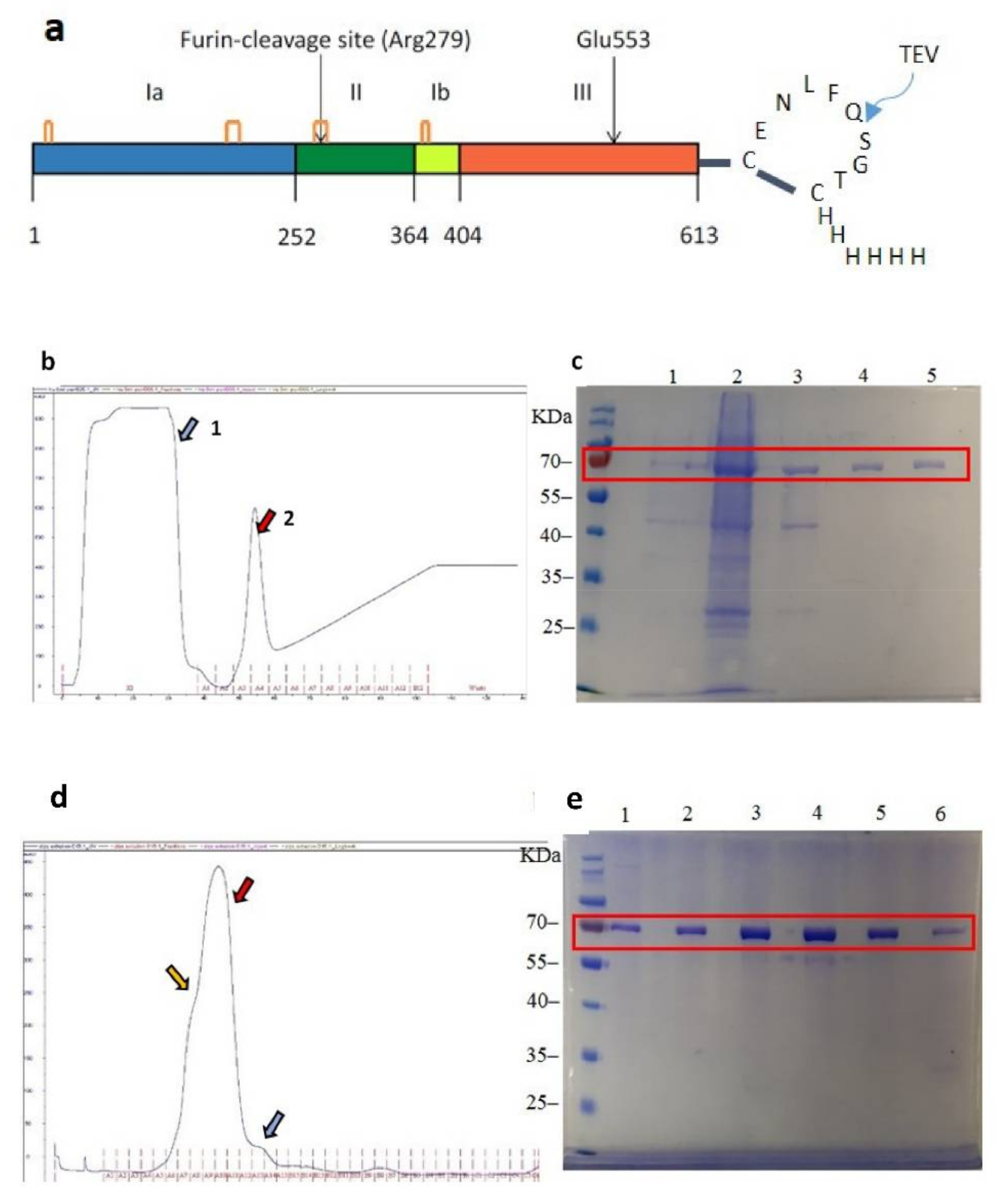 Pharmaceutics 13 01171 g002