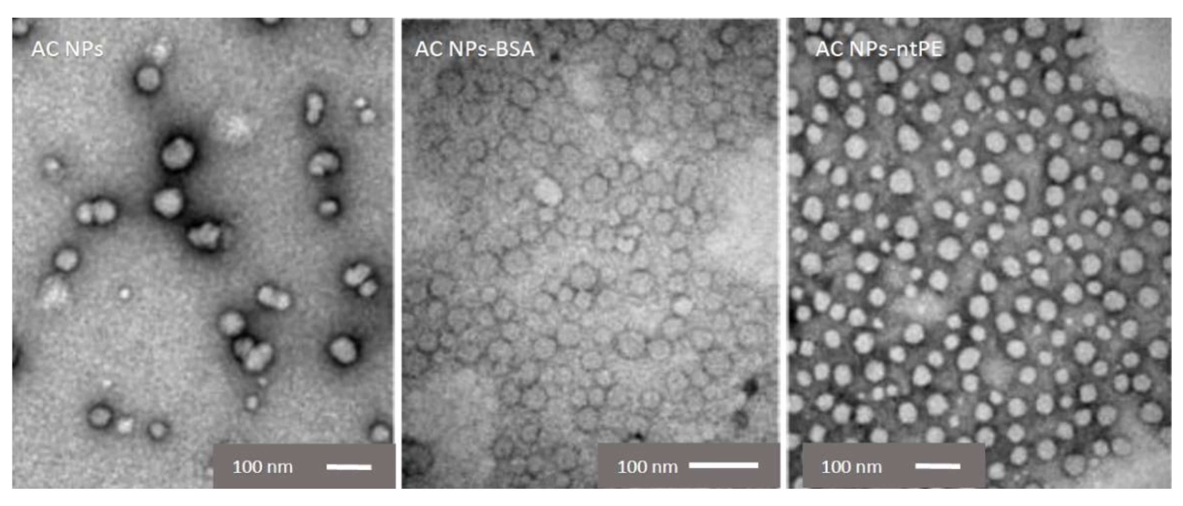 Pharmaceutics 13 01171 g004
