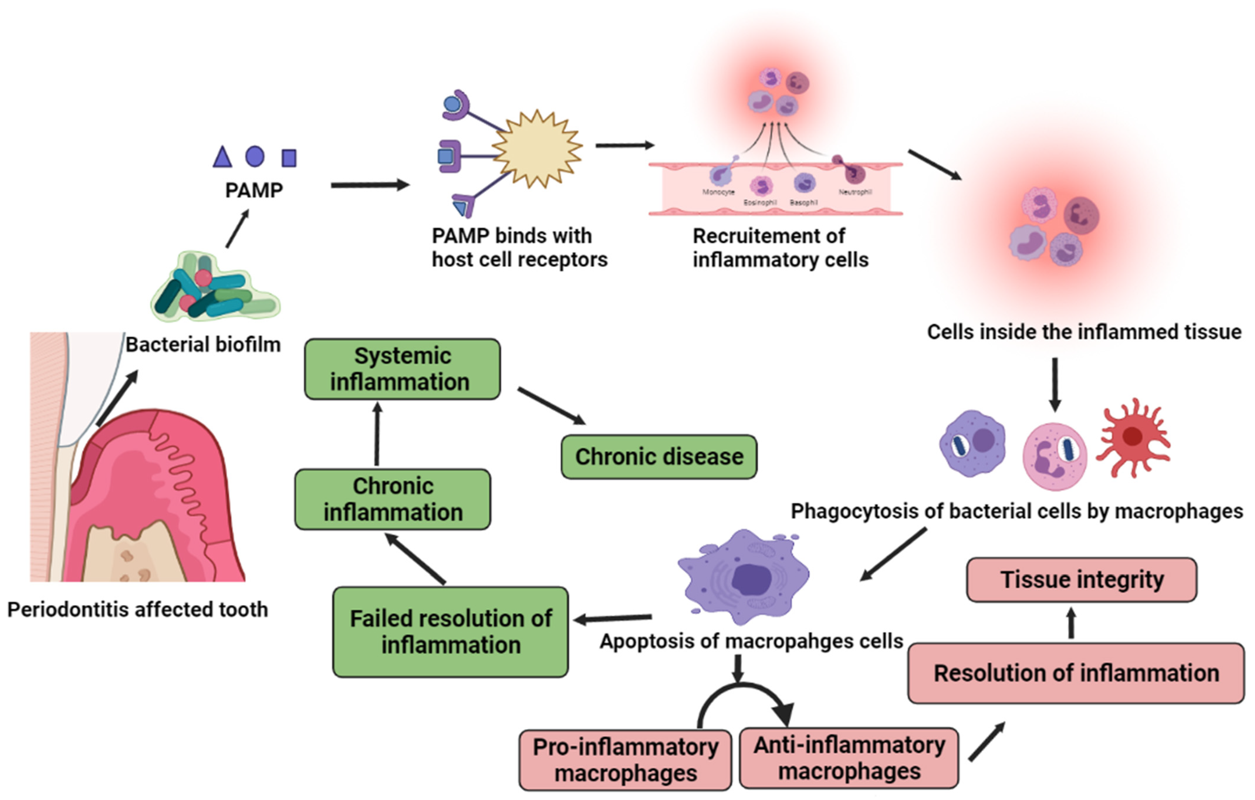 Pharmaceutics 13 01175 g001