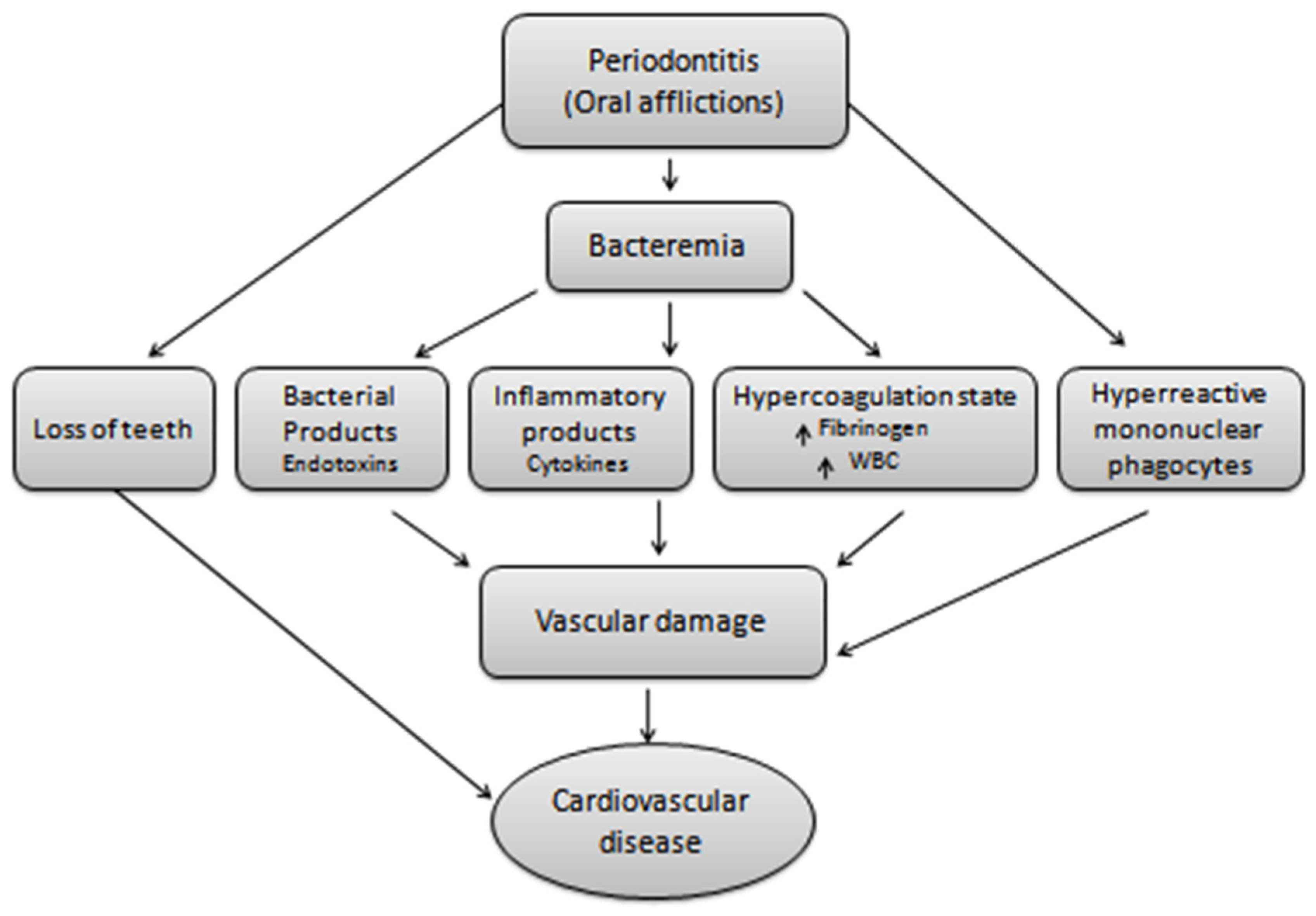 Pharmaceutics 13 01175 g002