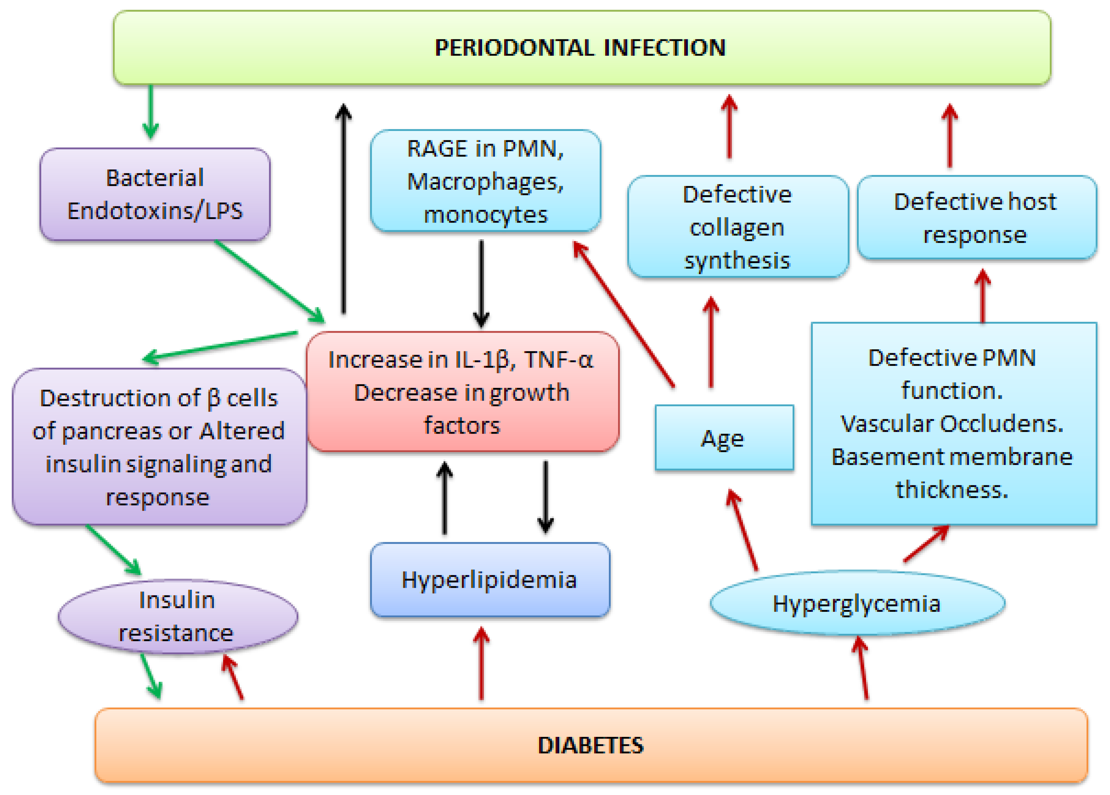 Pharmaceutics 13 01175 g003
