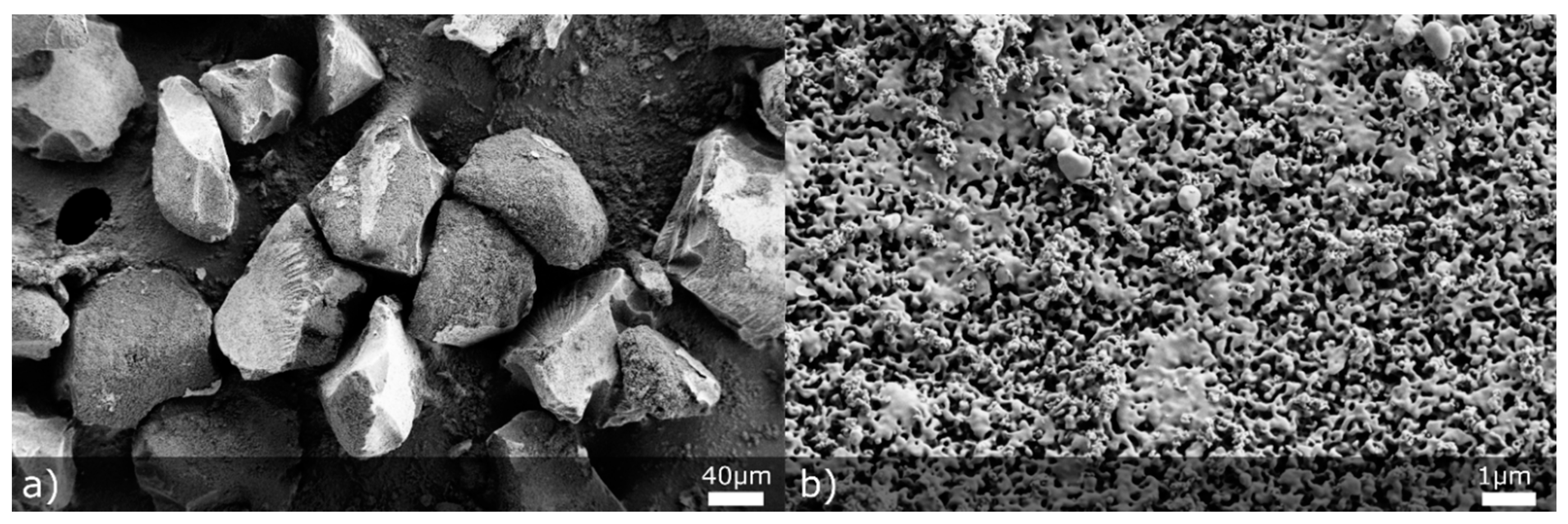 Pharmaceutics 13 01177 g001