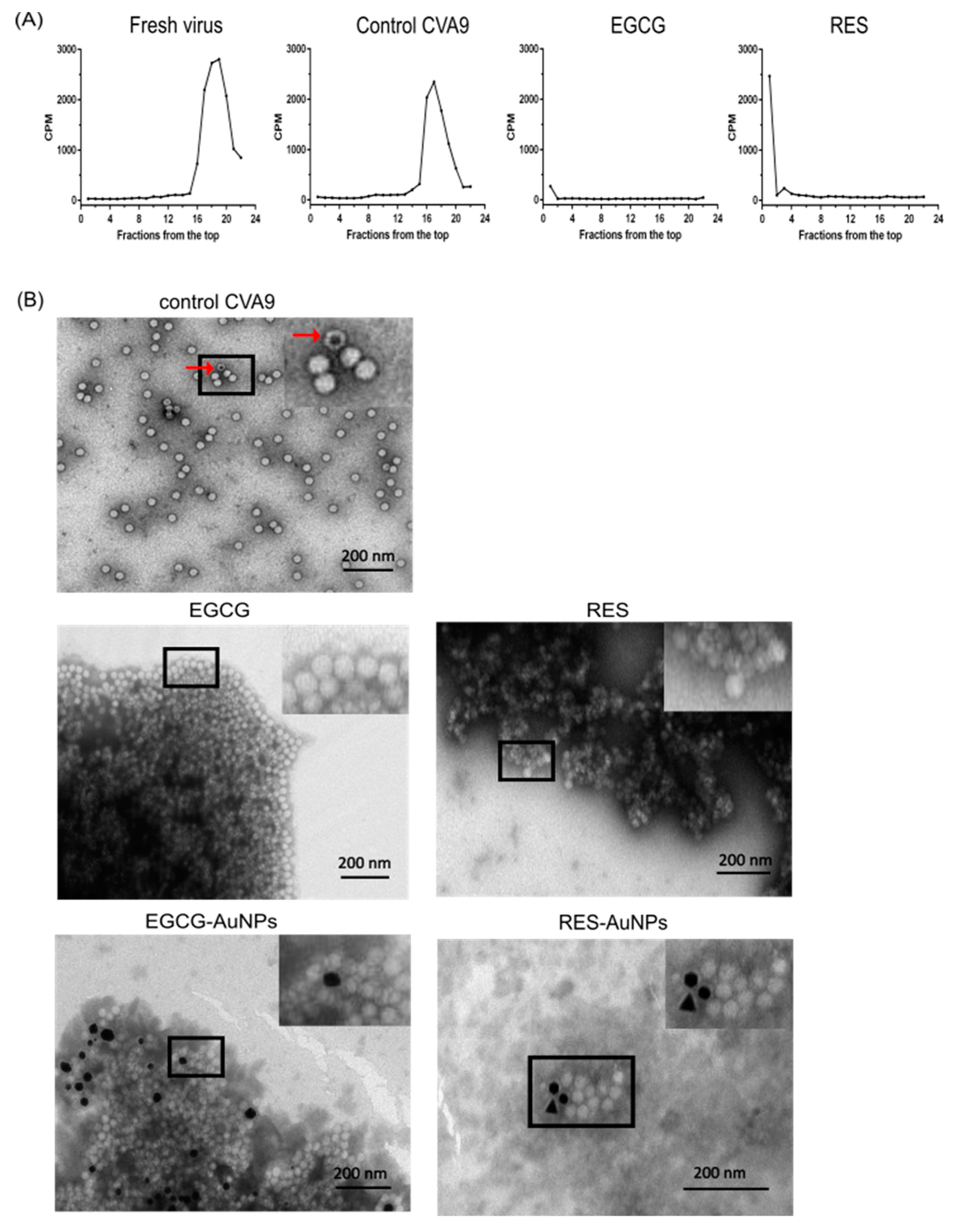 Pharmaceutics 13 01182 g005a