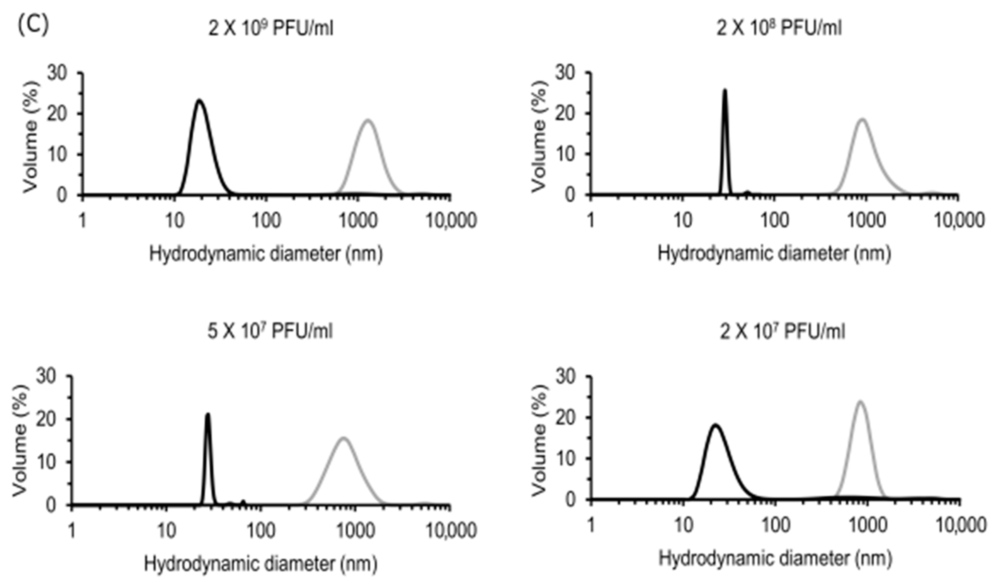 Pharmaceutics 13 01182 g005b