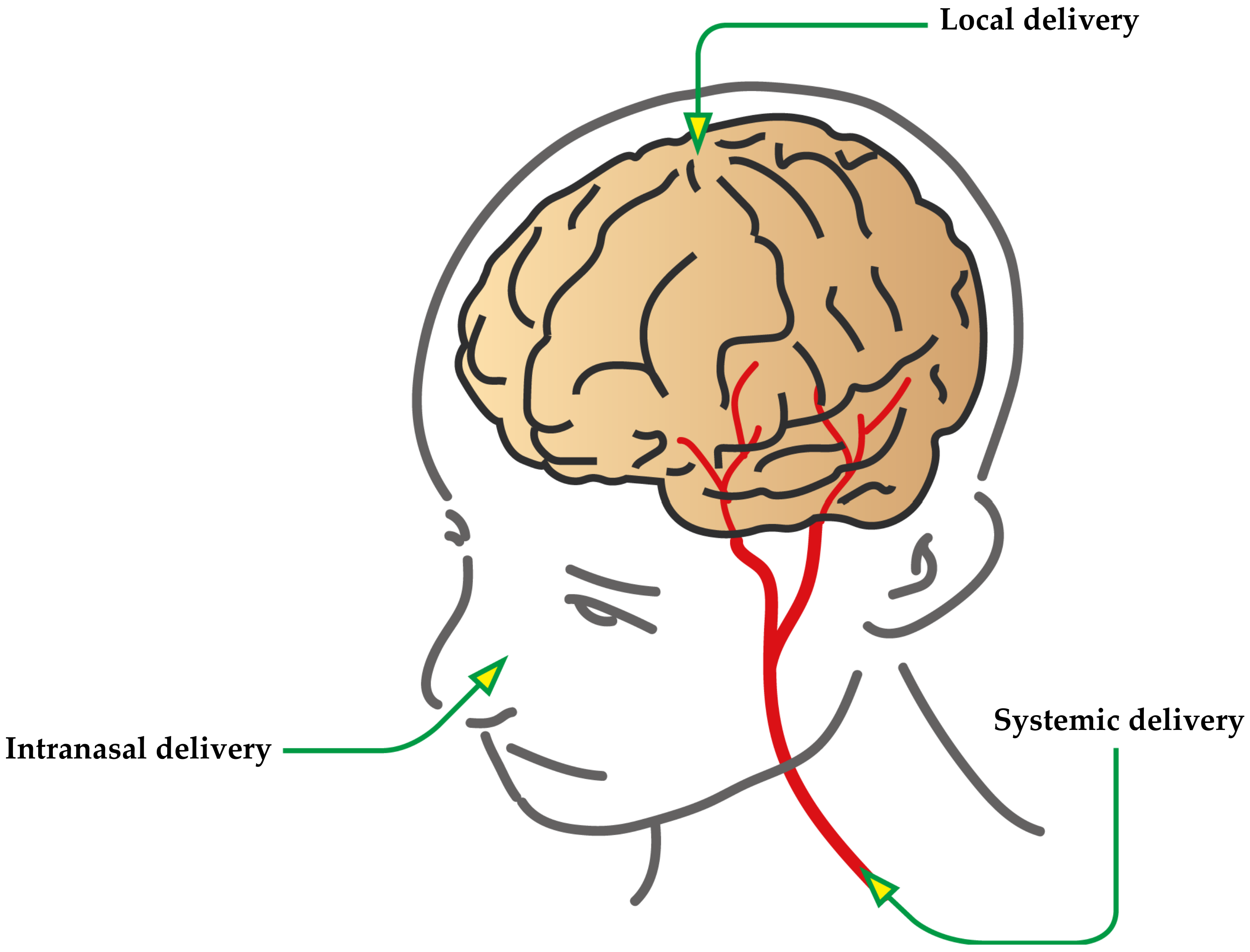 Pharmaceutics 13 01183 g002
