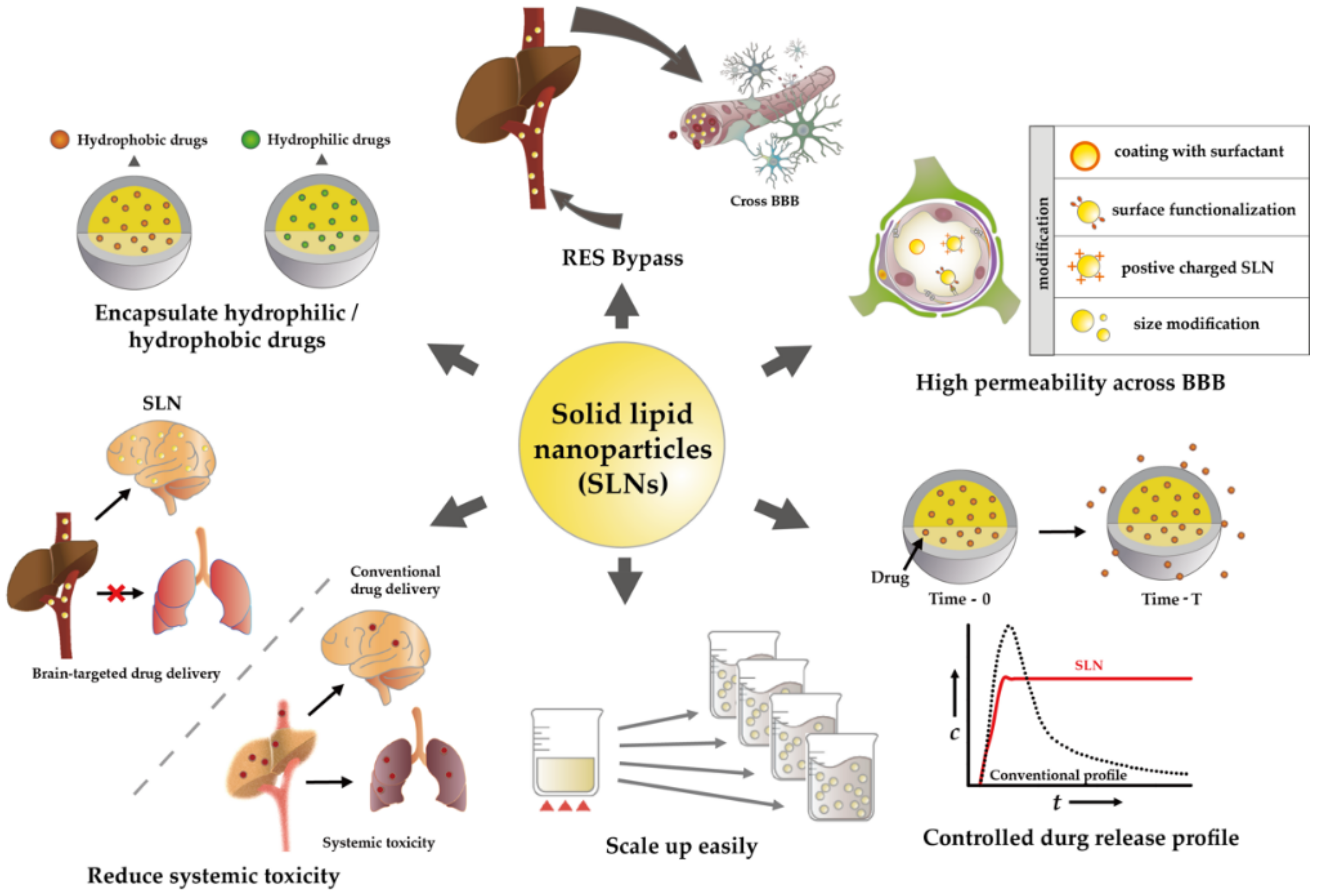 Pharmaceutics 13 01183 g003