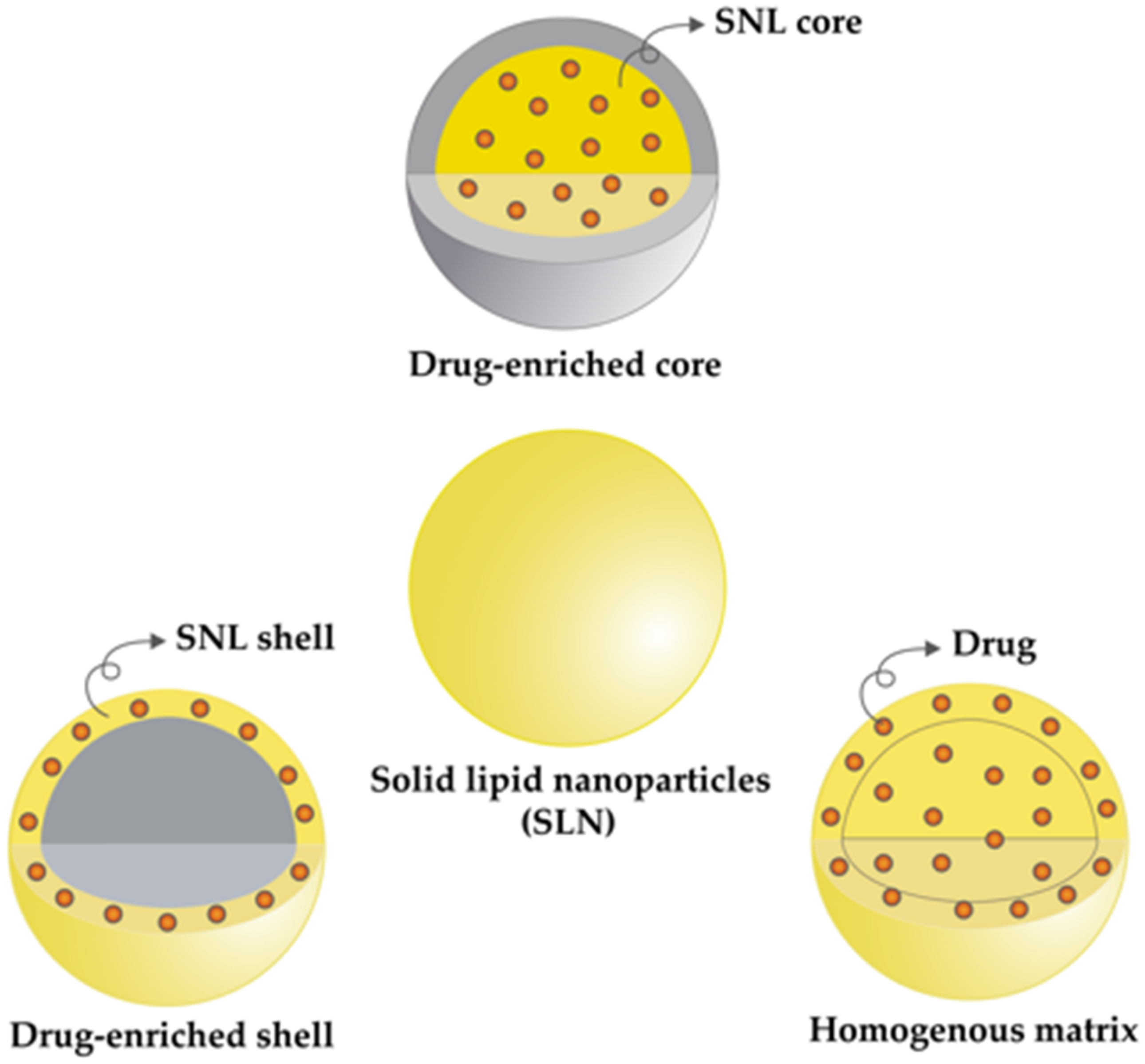Pharmaceutics 13 01183 g006