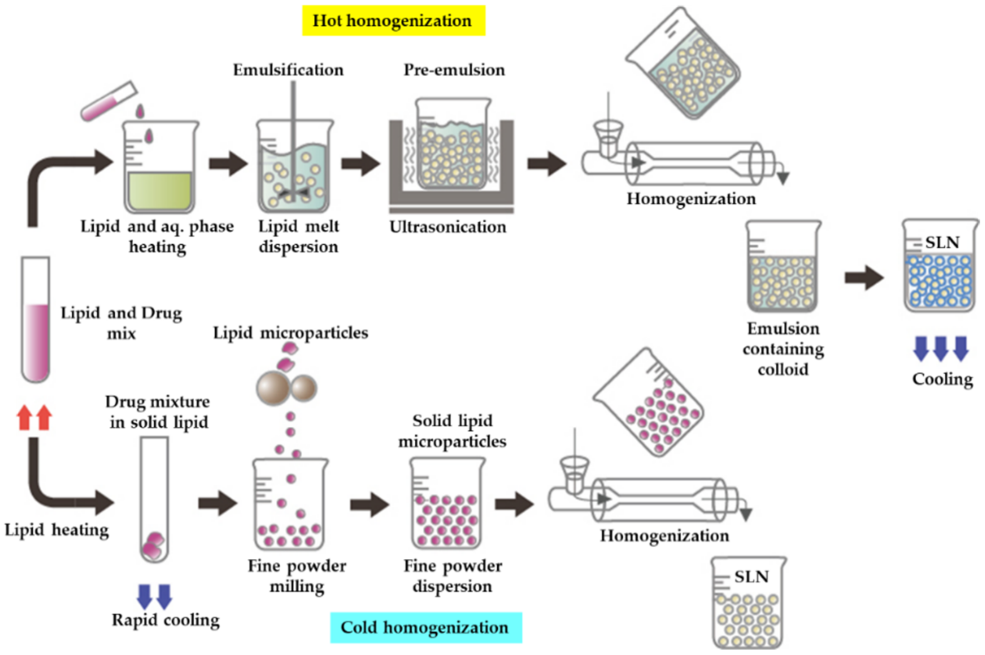 Pharmaceutics 13 01183 g008