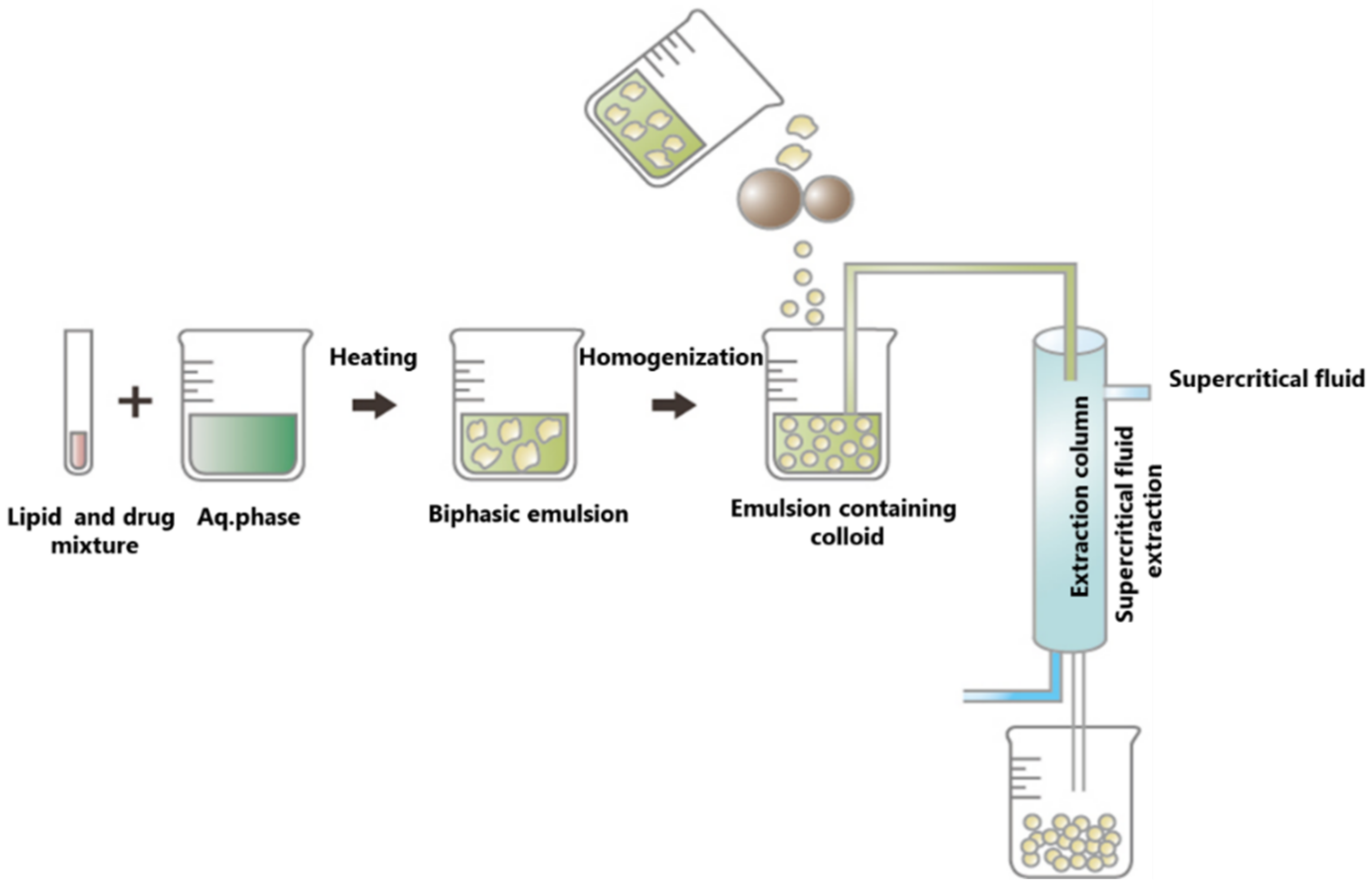 Pharmaceutics 13 01183 g011
