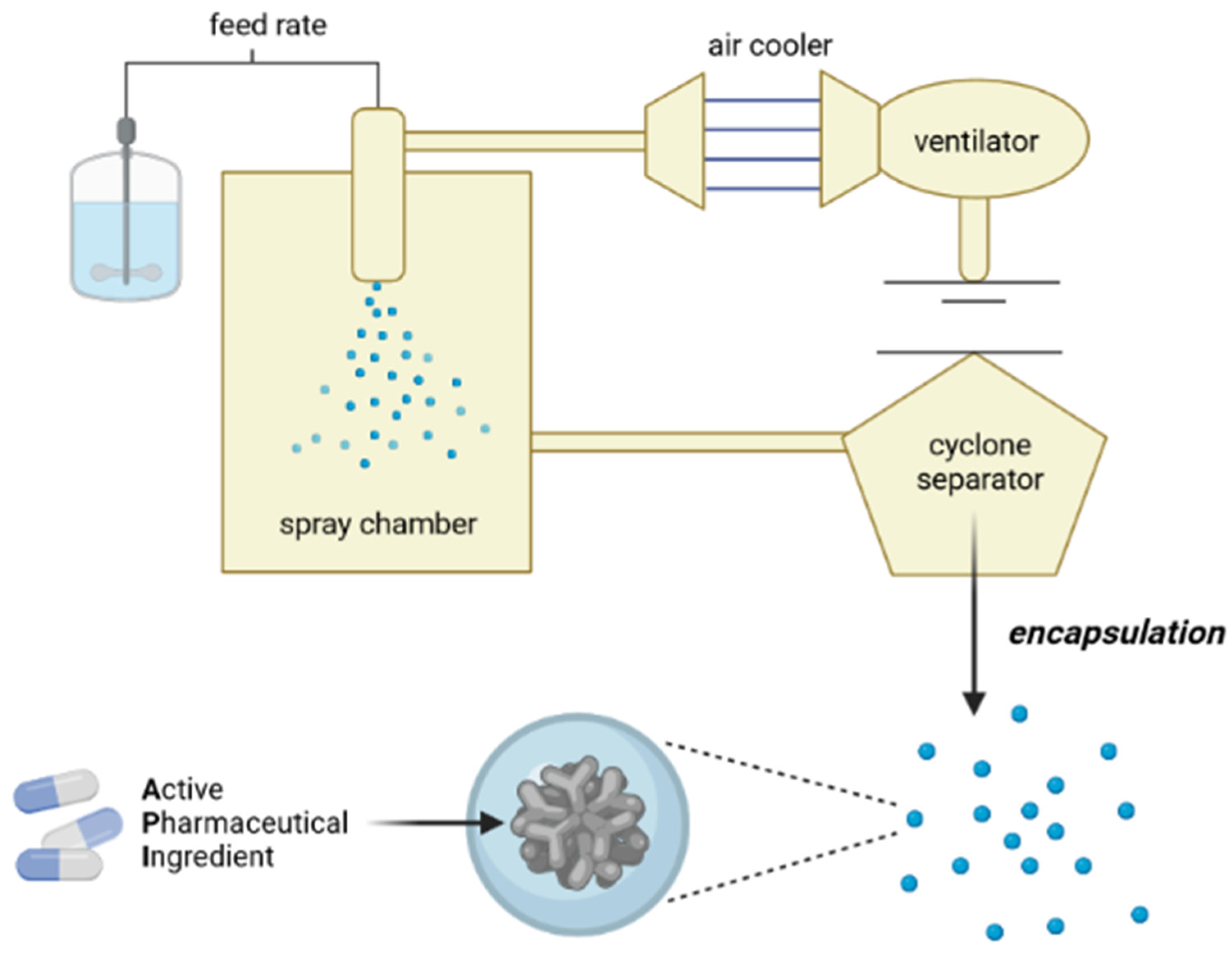 Pharmaceutics 13 01186 g003