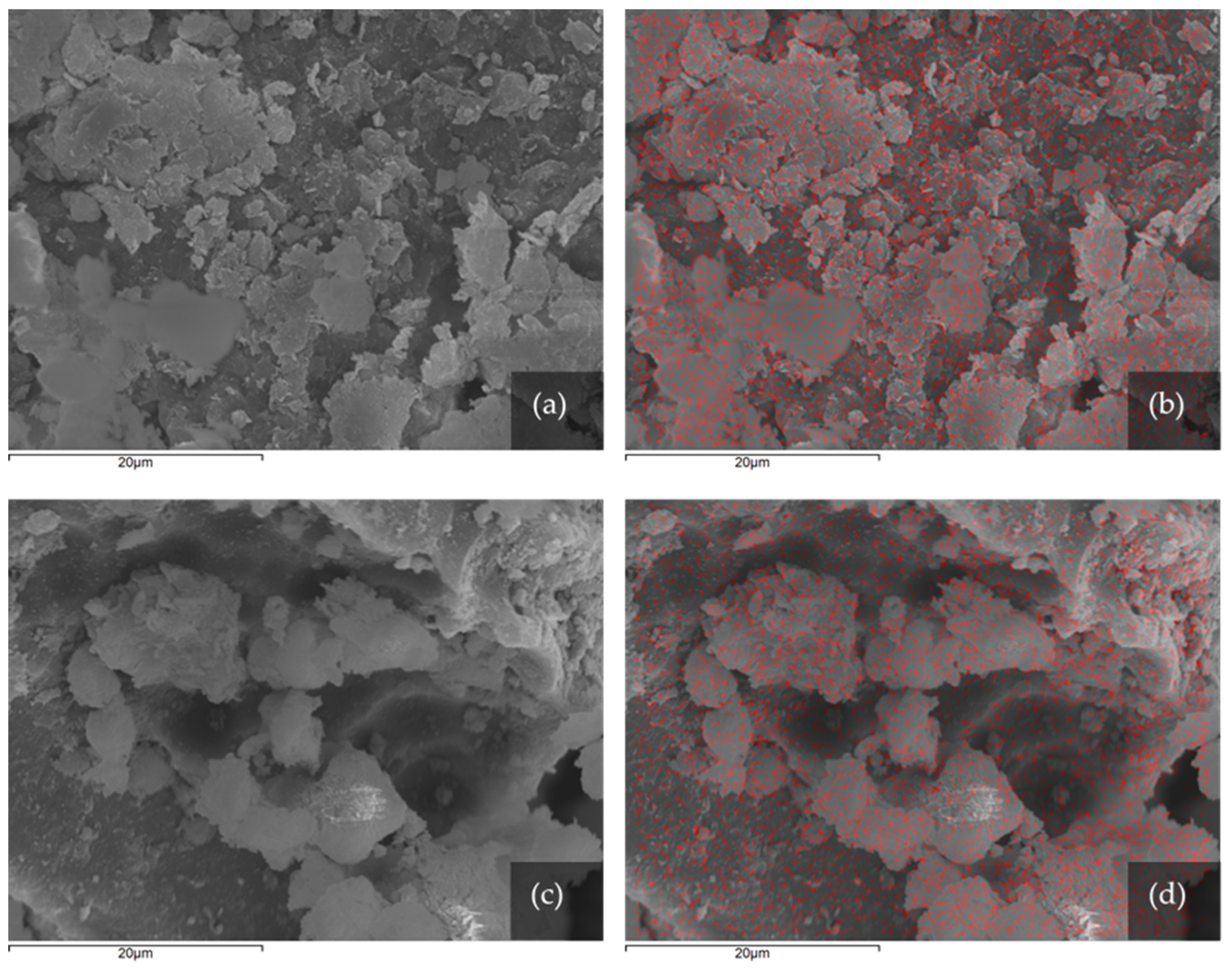 Pharmaceutics 13 01190 g003